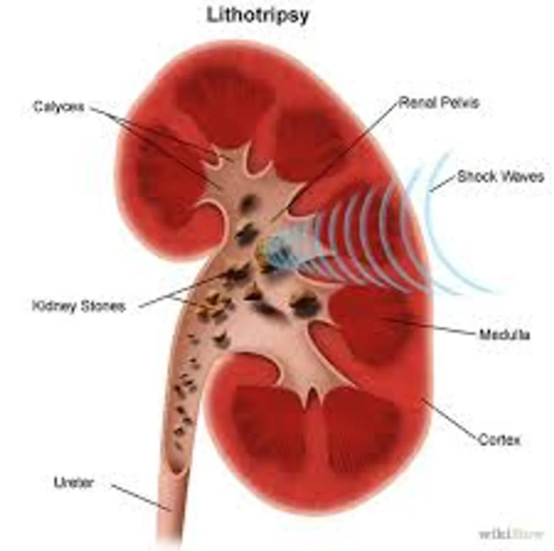 Higher arterial age linked to risk of cancer, kidney disease