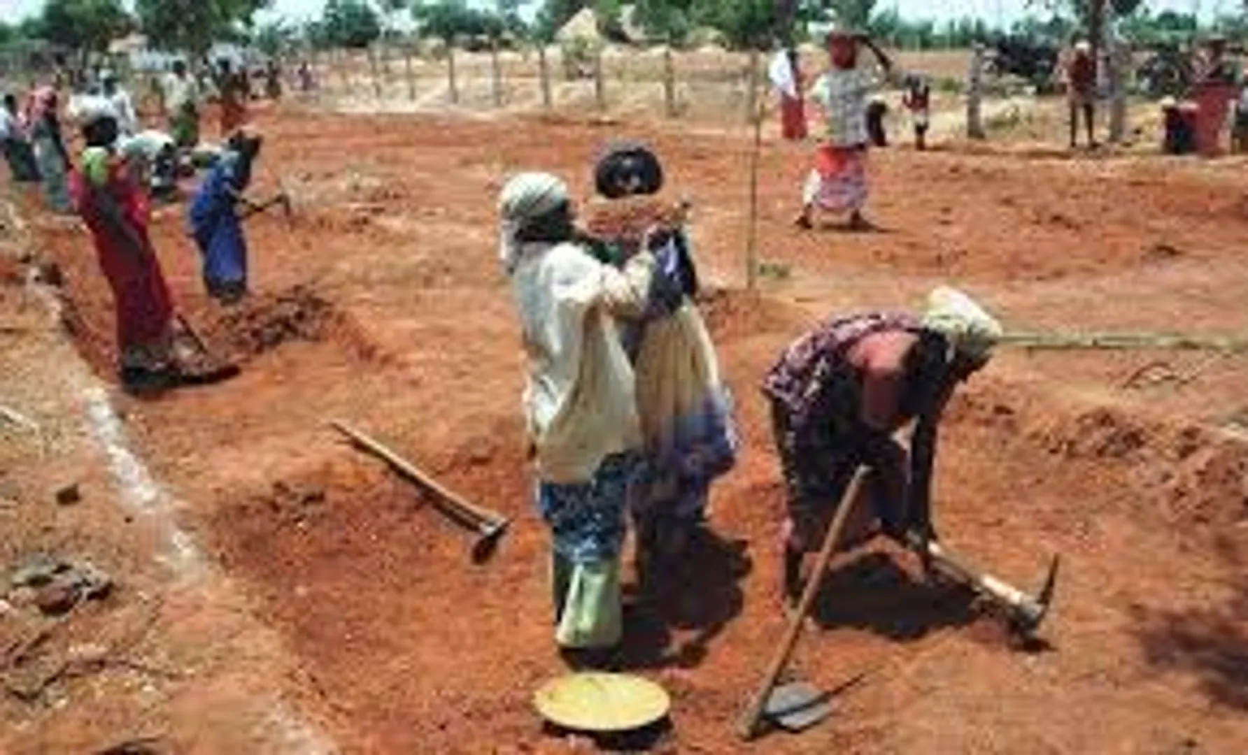 MGNREGS assets and works to be geo-tagged: government