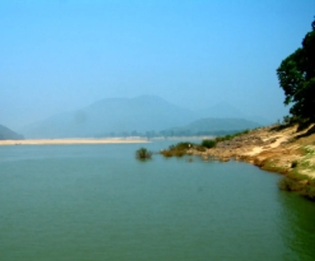 River ecosystems recovers fast after dam removal