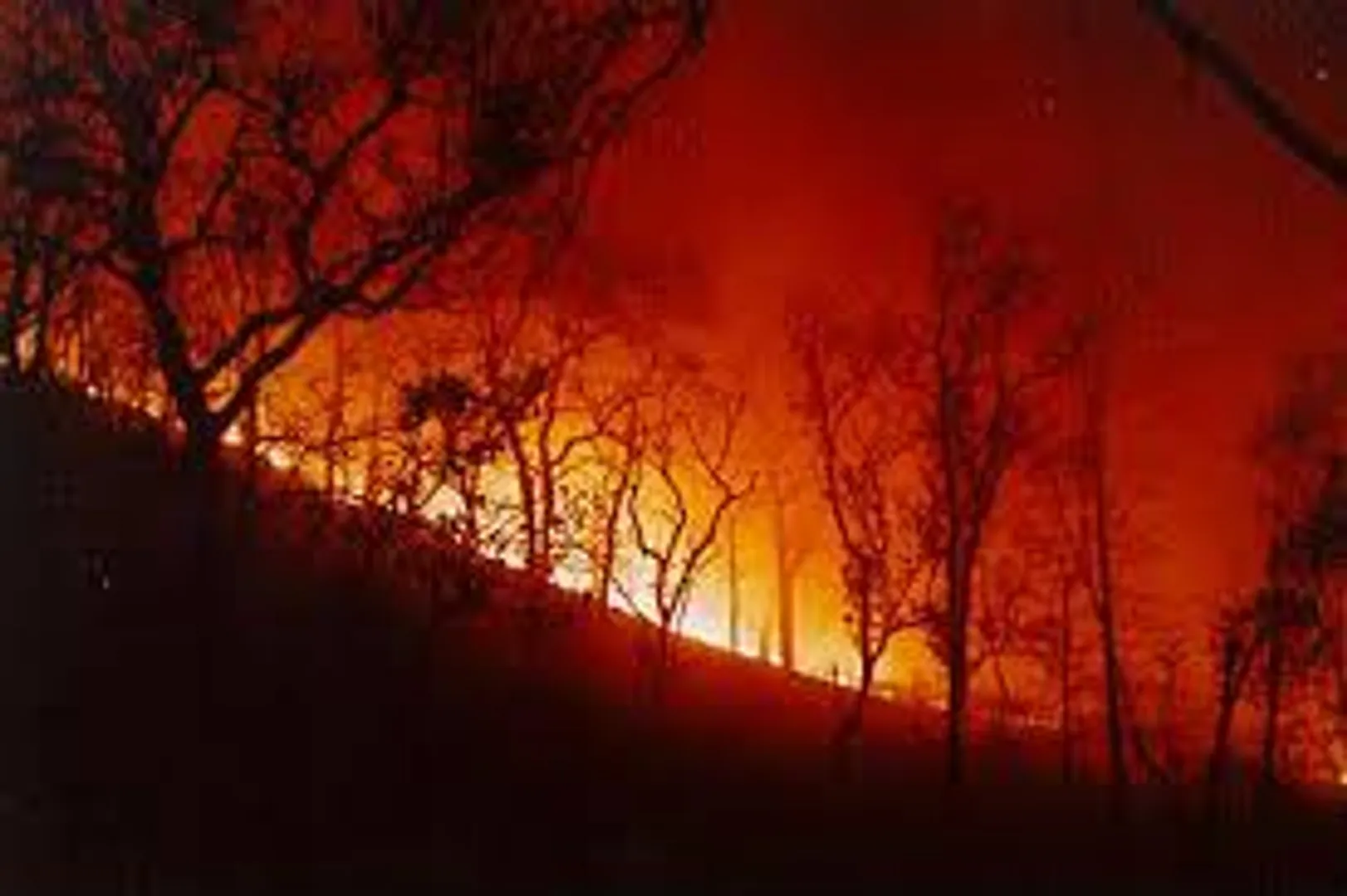 Odisha forest fire makes life uneasy for villagers