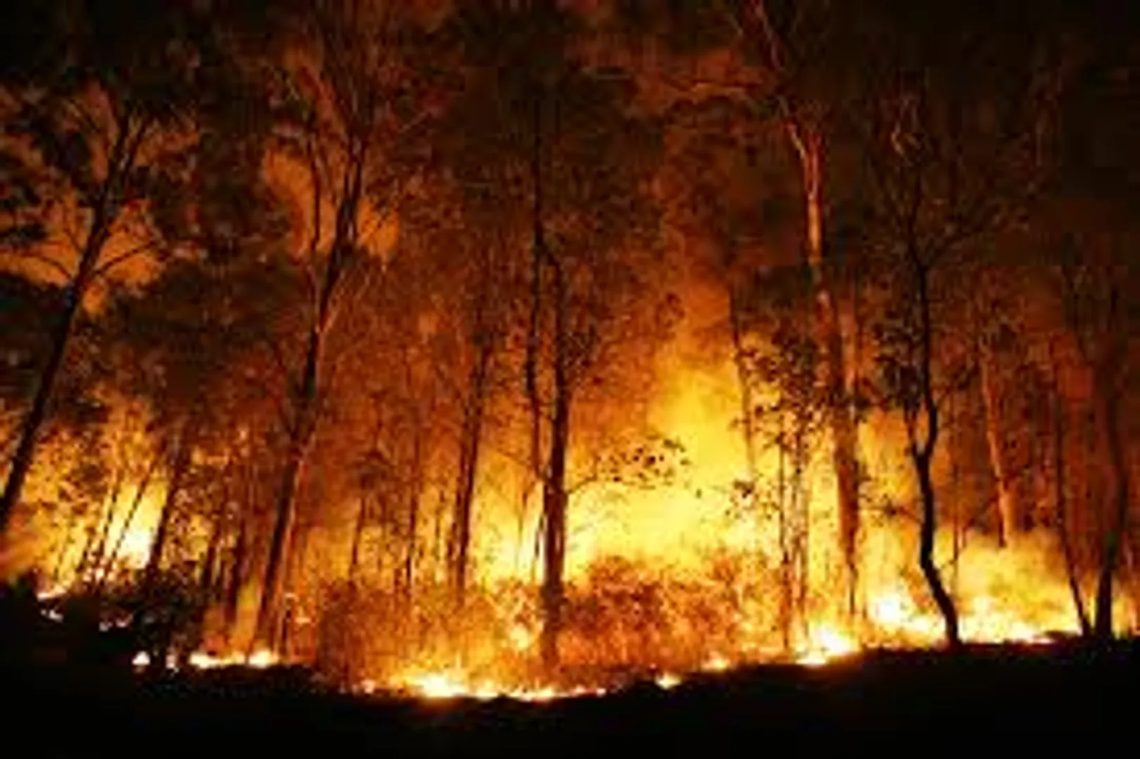IAF choppers, NDRF fight Uttarakhand forest fires