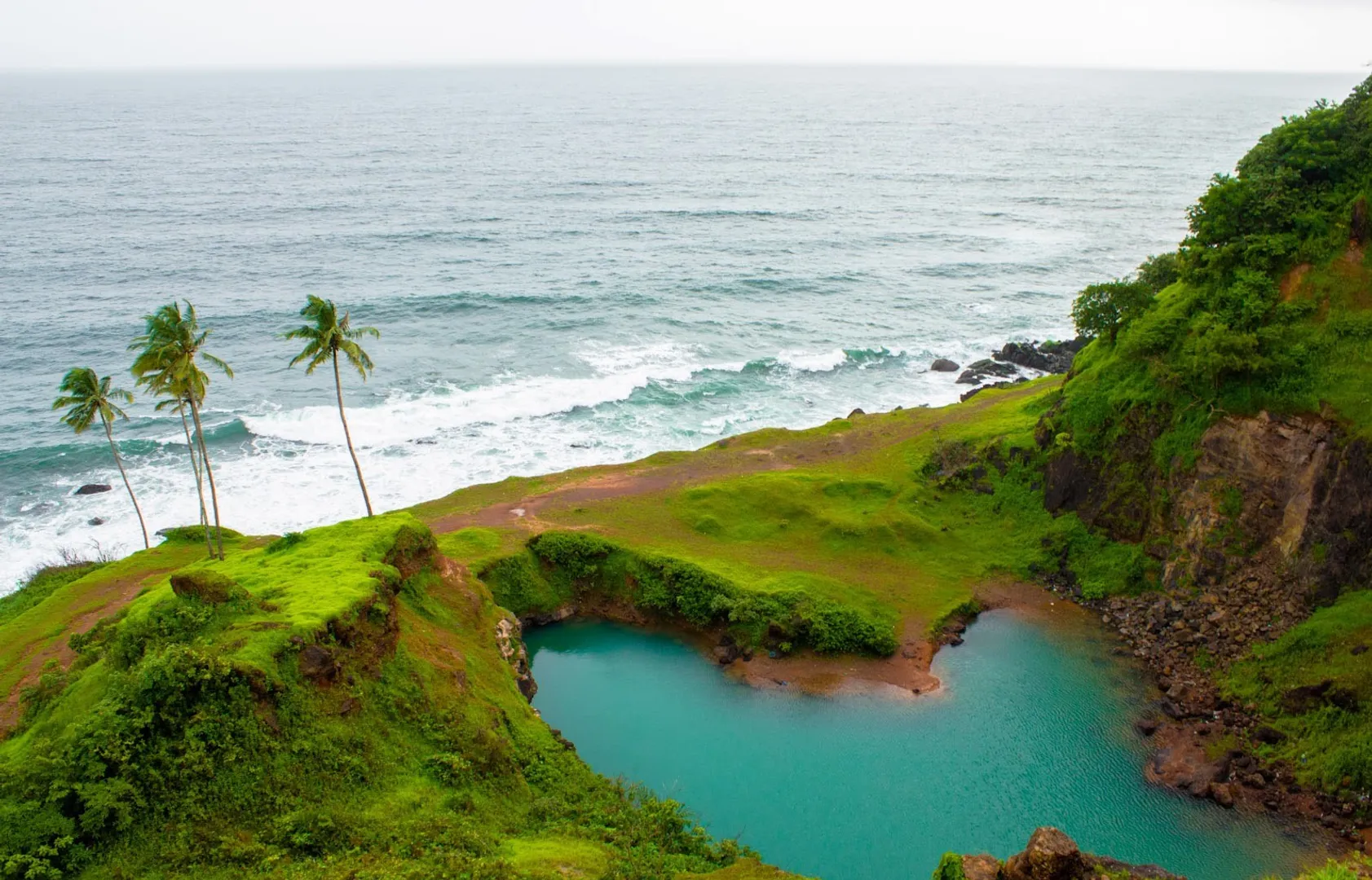 Two swimmers bitten by sea creatures off popular Goa beach
