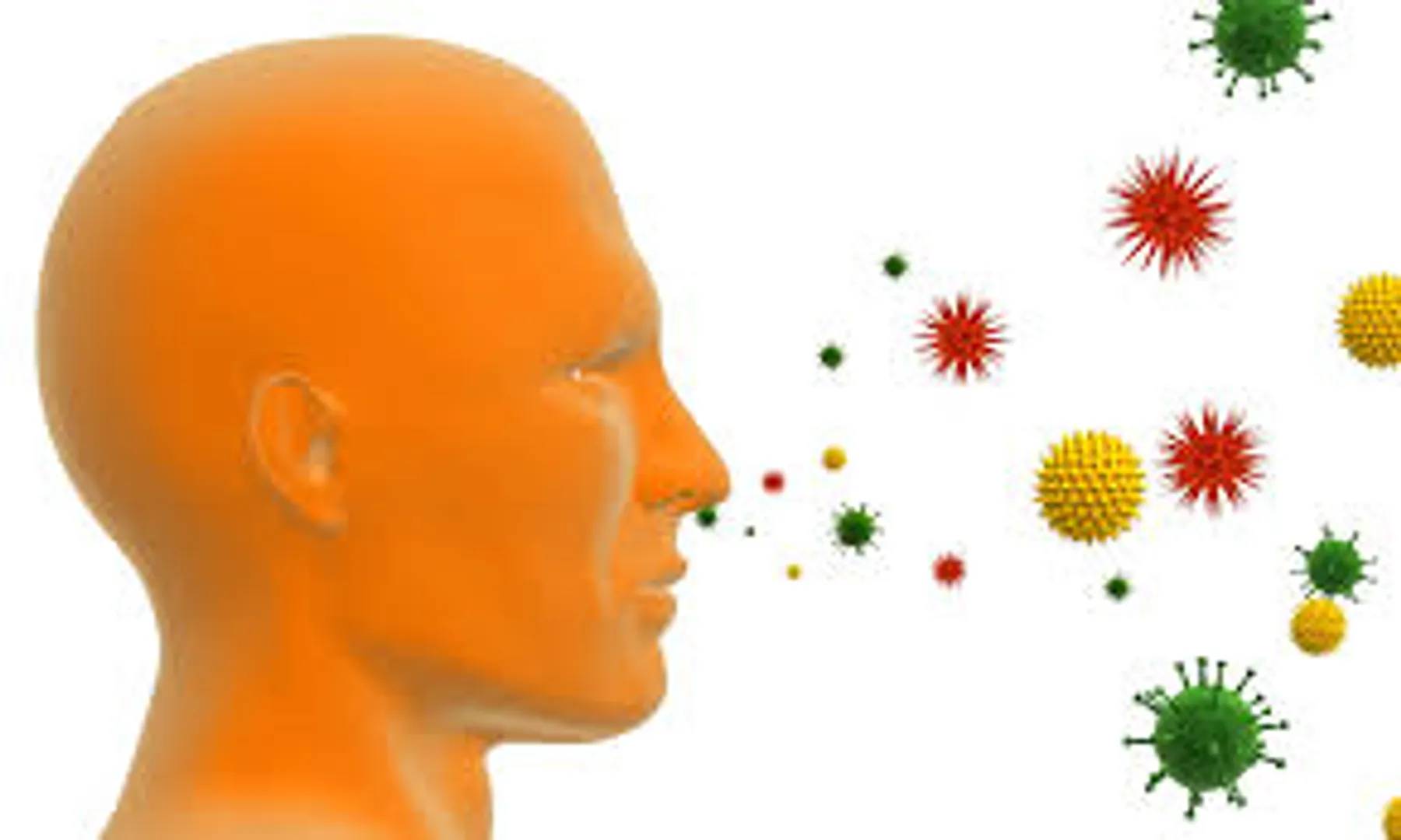 Your season of birth determines risk of allergy