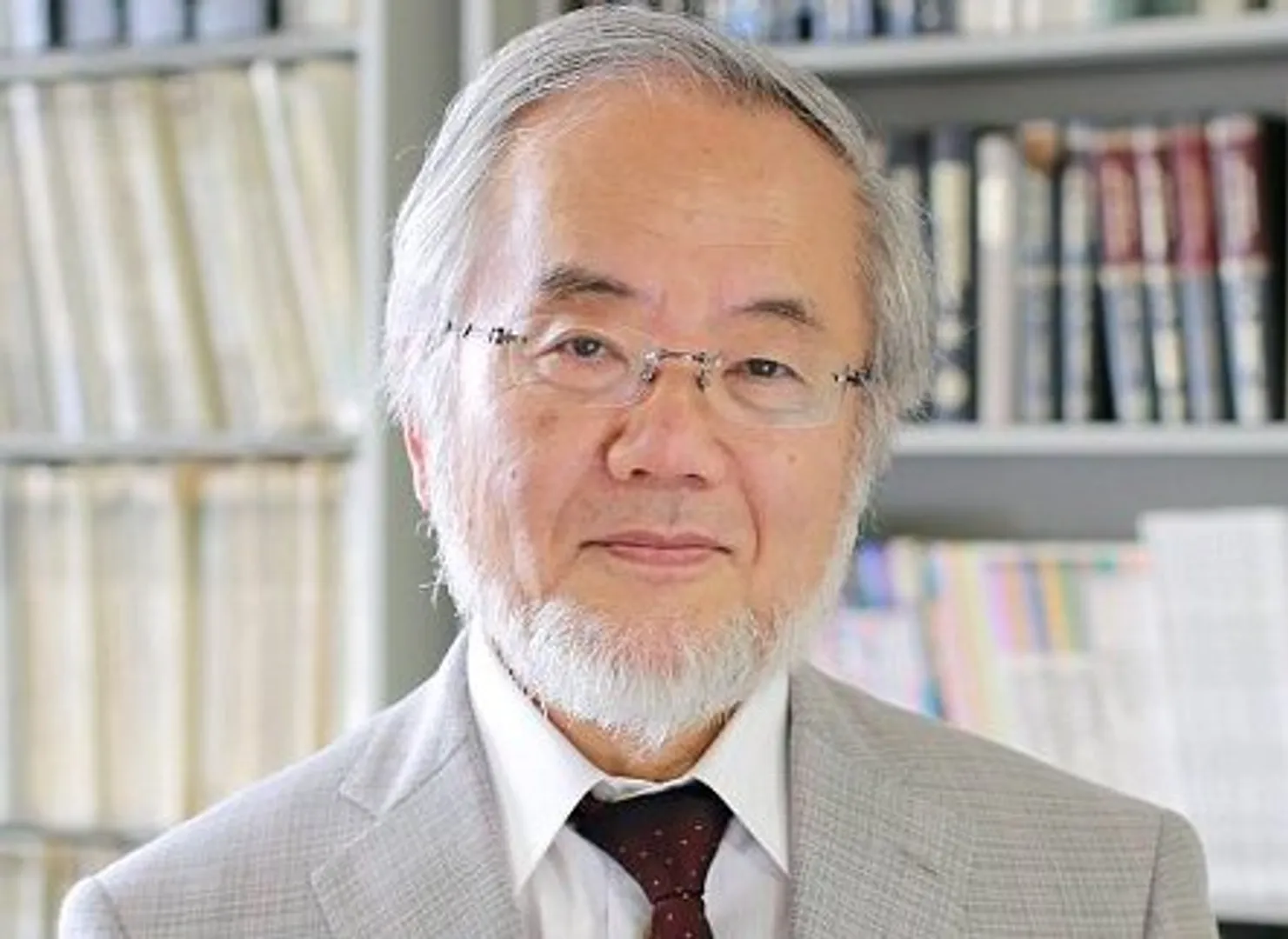 Japan's Yoshinori Ohsumi wins medicine Nobel