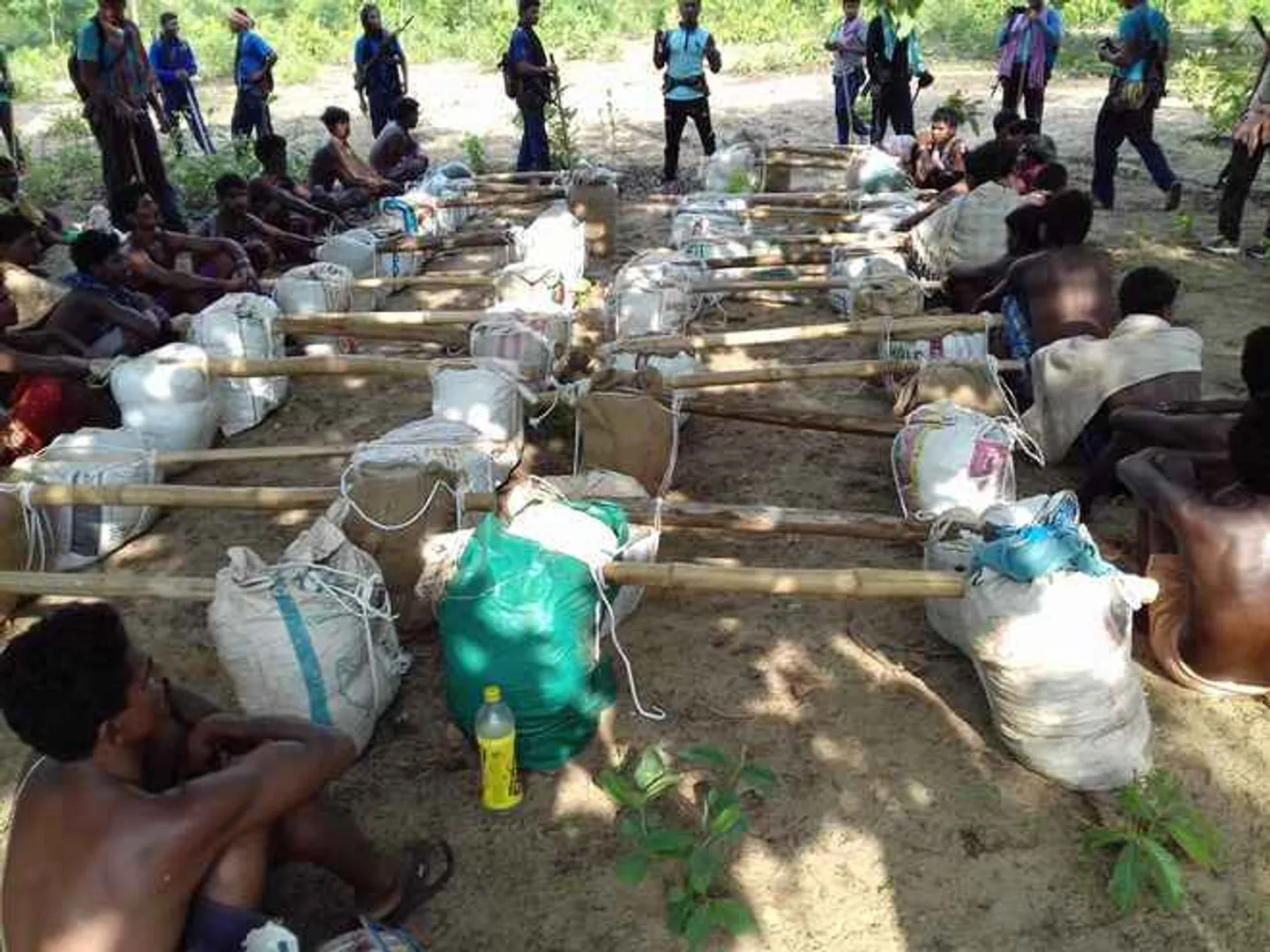 10 quintal ganja seized in Odisha's Malkangiri; 28 arrested
