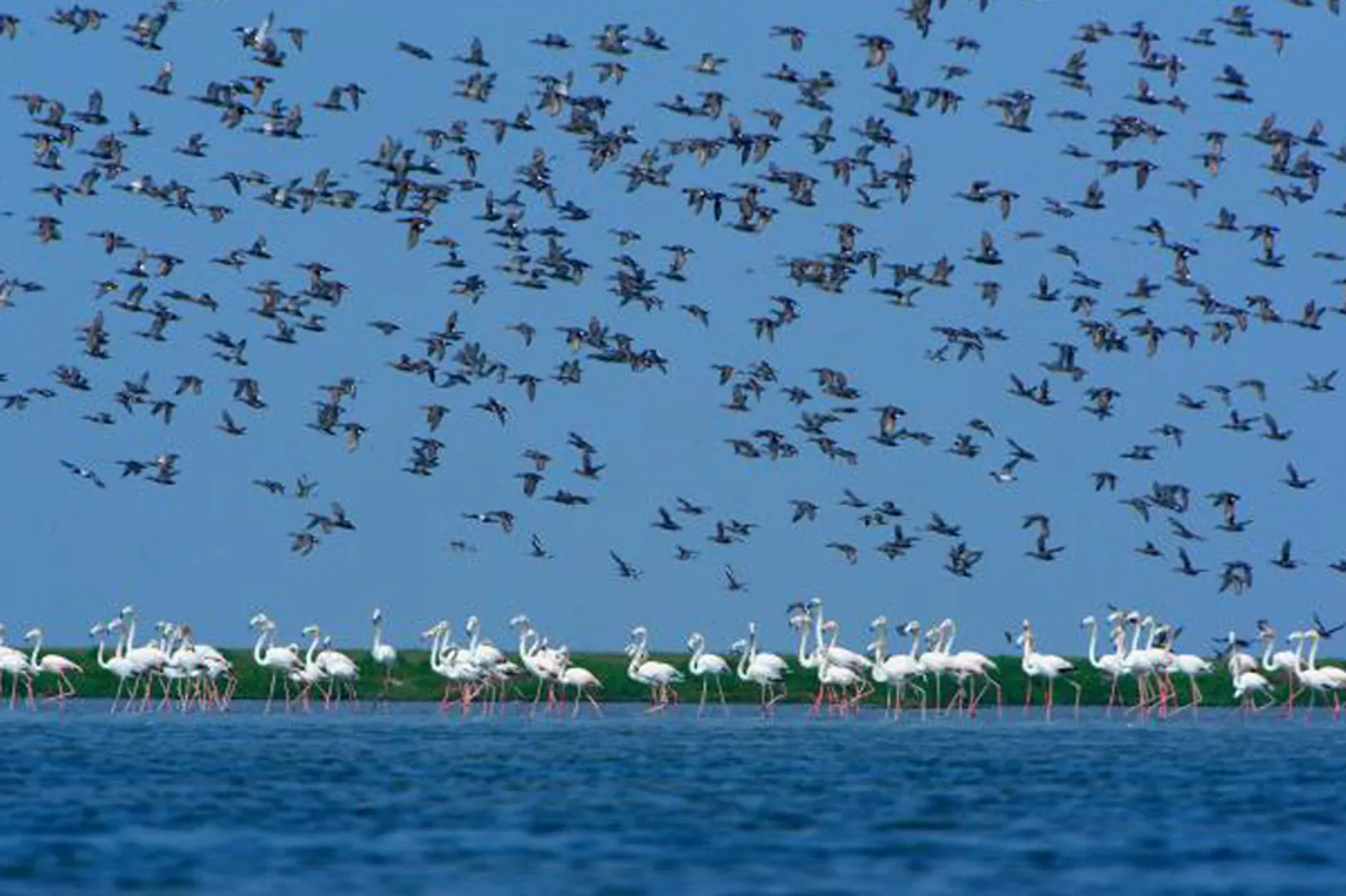 World Tourism Day: Explore Odisha's best kept secrets