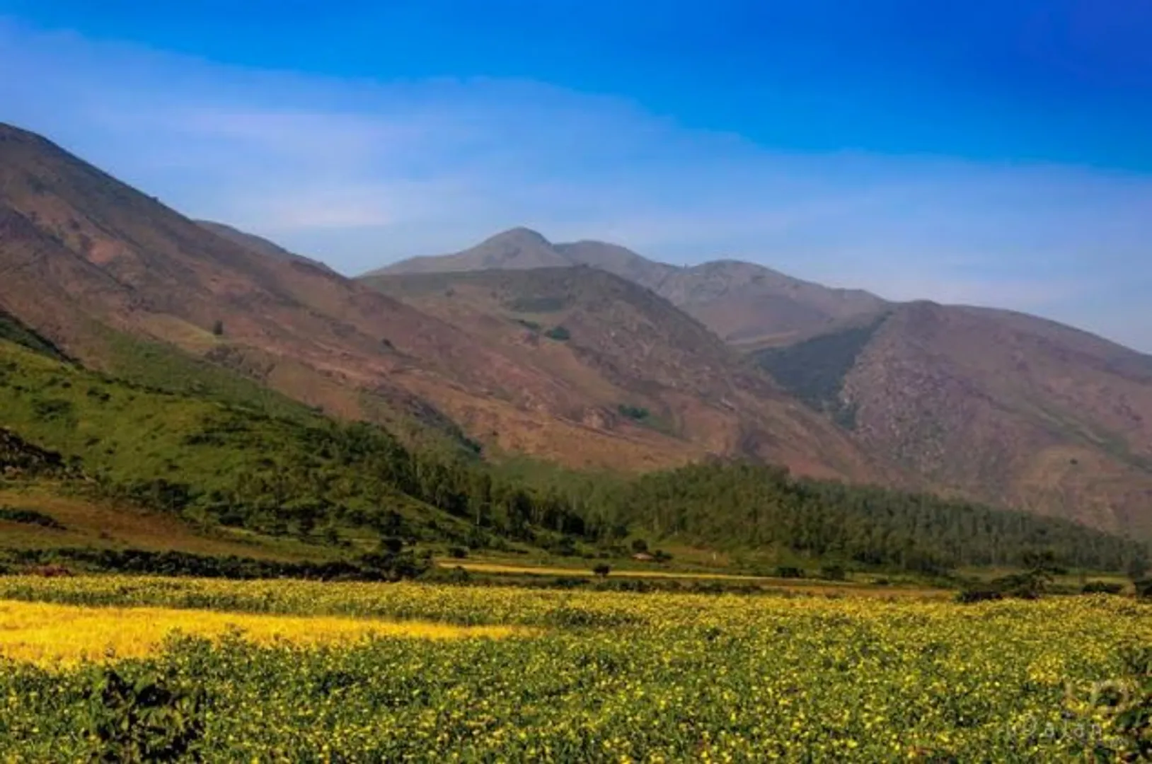 7 reasons that will make you pack your bags for a winter sojourn in Koraput