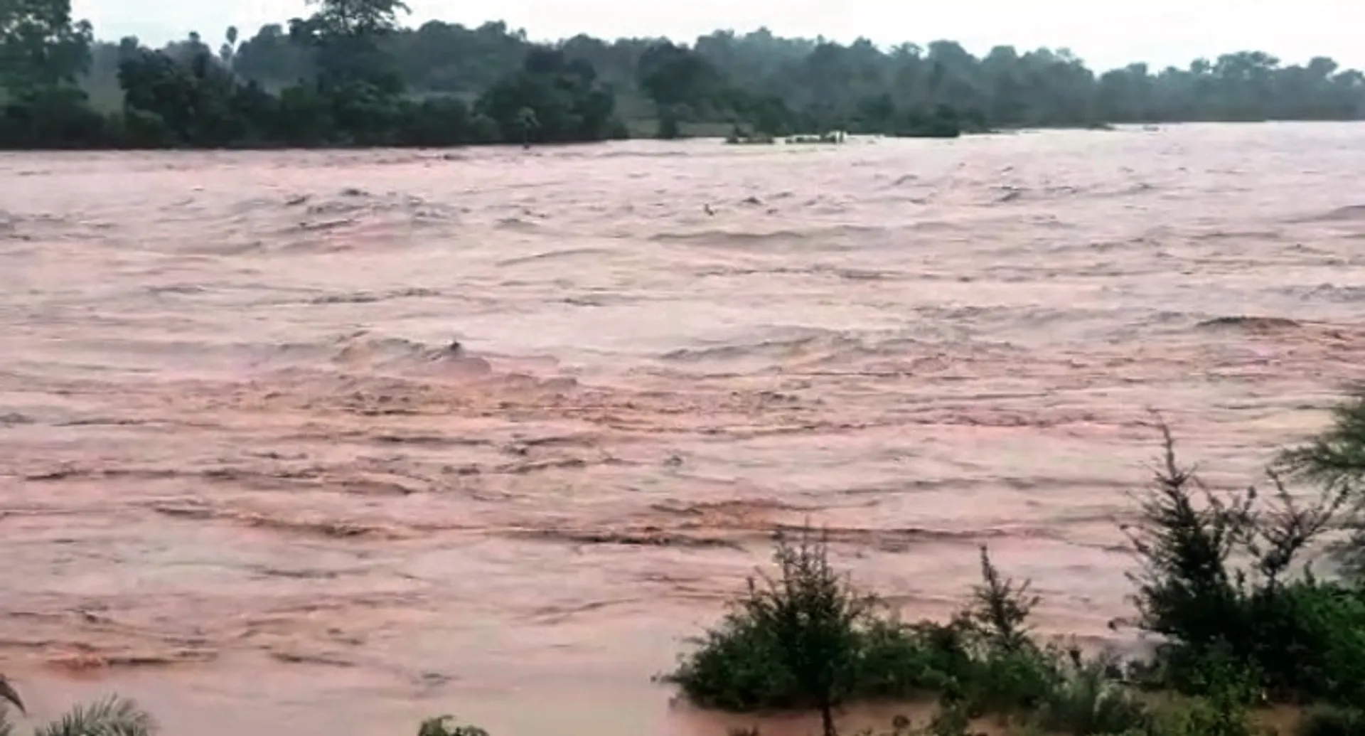 Heavy rainfall in Odisha districts; Rivers in spate