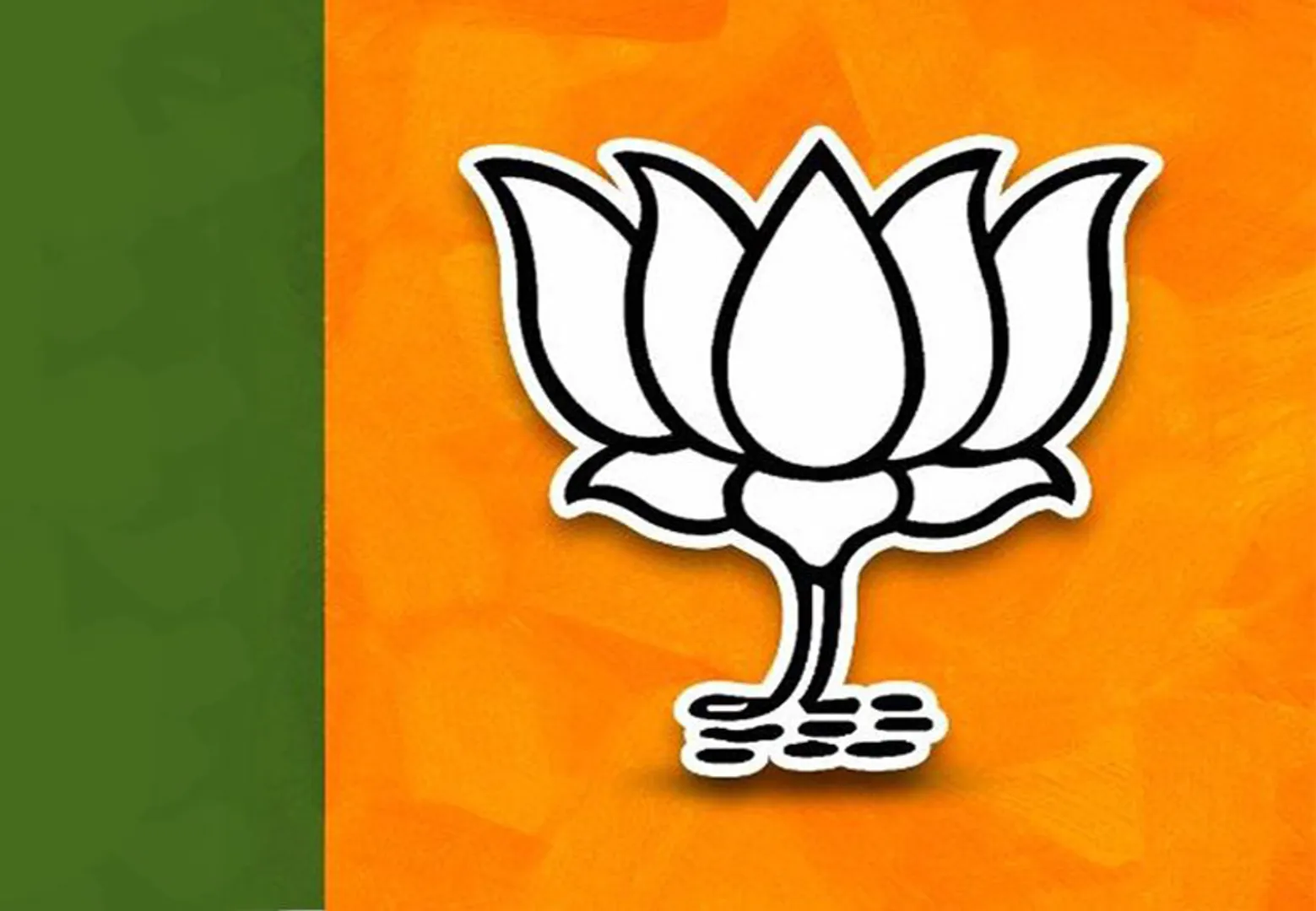 One of elected MLAs will be named Odisha CM: BJP