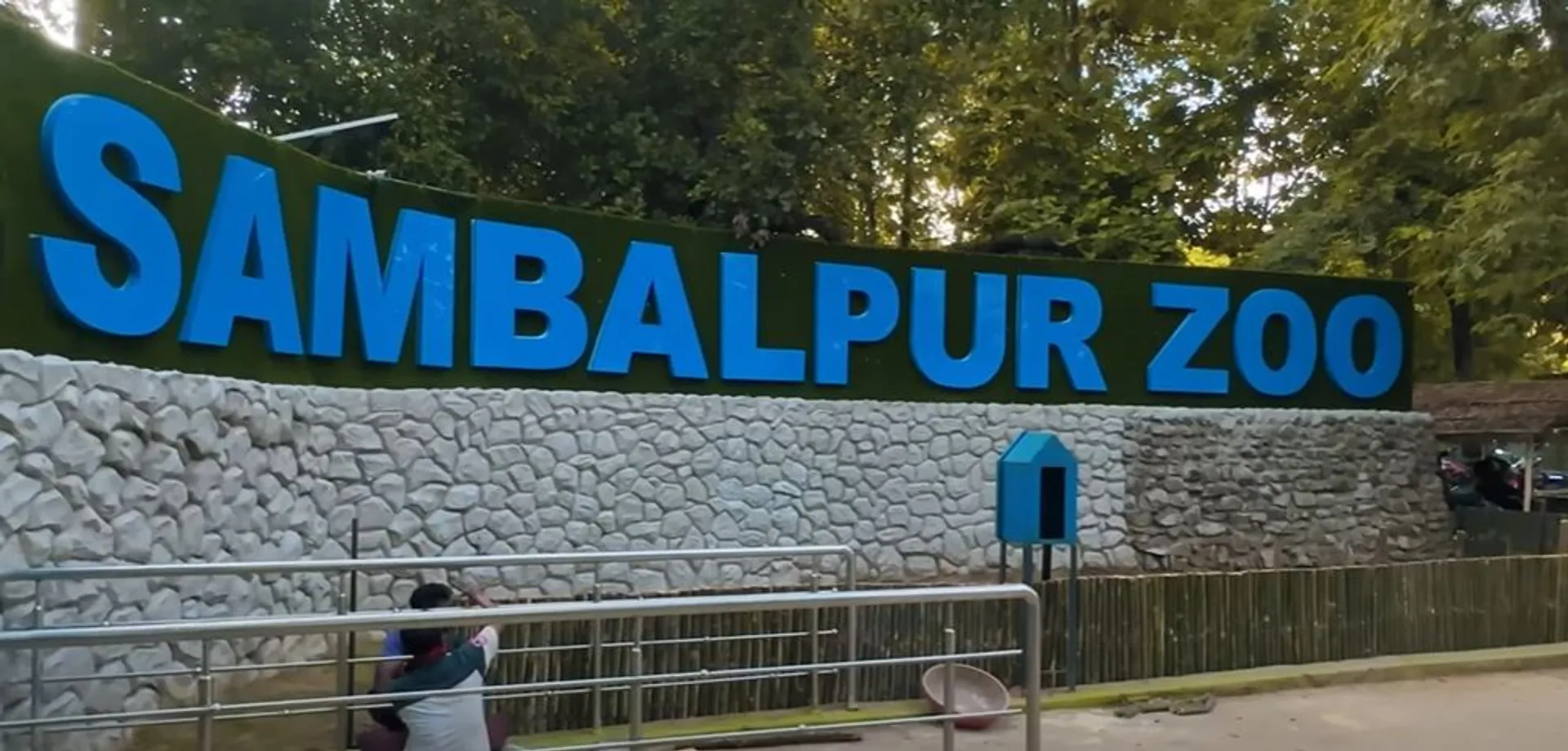 Four Royal Bengal Tigers to be brought to Sambalpur Zoo in Odisha