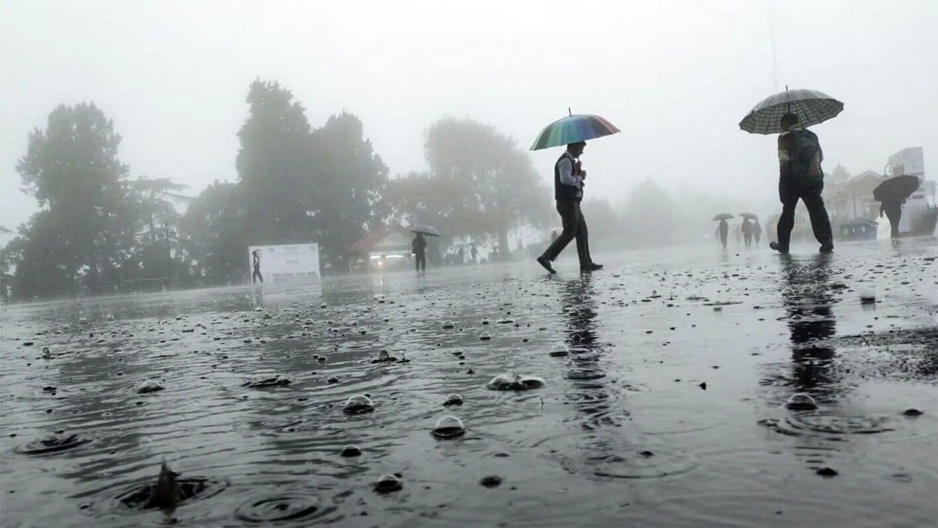 rainfall