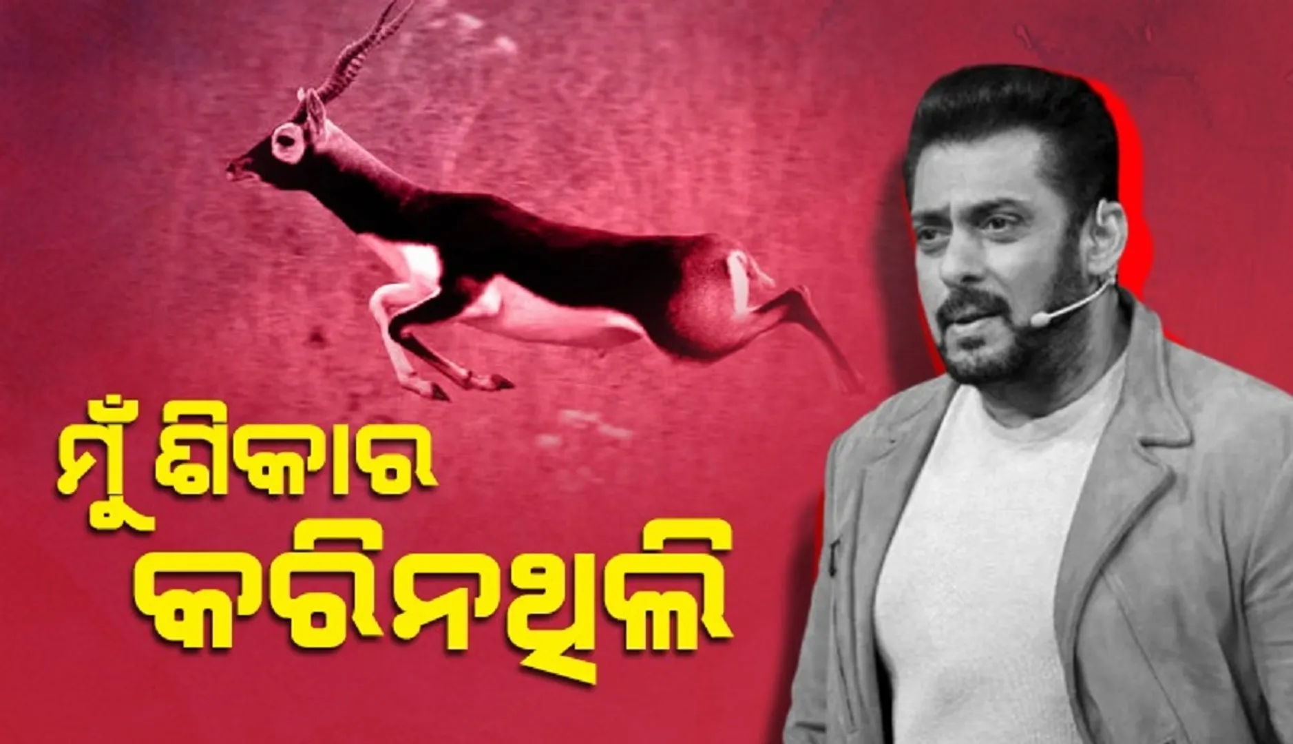 blackbuck