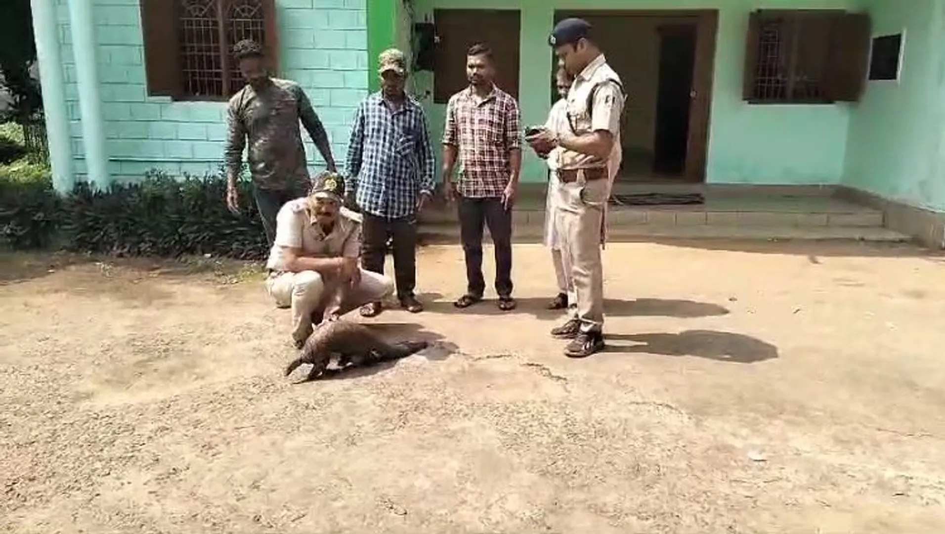 ବଜ୍ରକାପ୍ତା ଉଦ୍ଧାର, ସ୍ବାସ୍ଥ୍ୟ ପରୀକ୍ଷା ପରେ ଜଙ୍ଗଲରେ ଛାଡ଼ିବା ନେଇ ନିଷ୍ପତ୍ତି