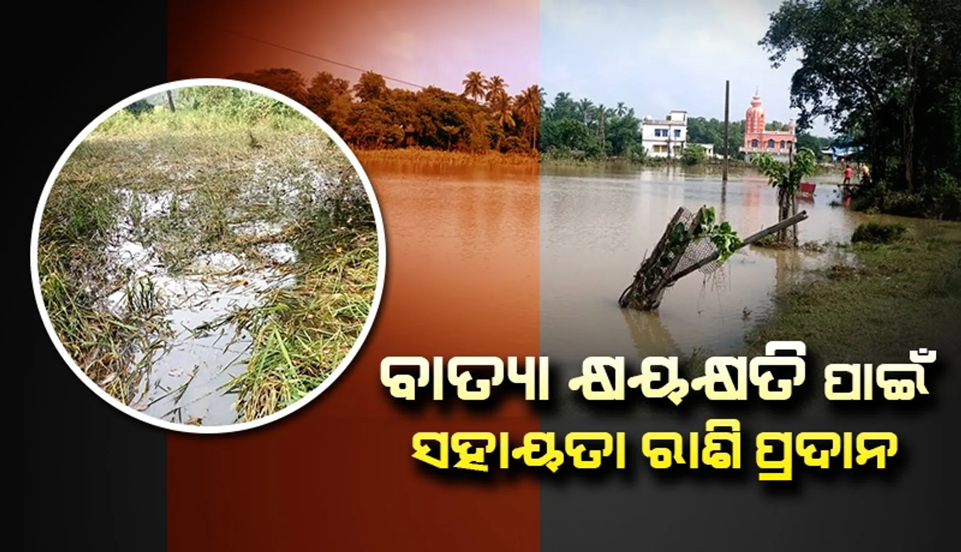 ବାତ୍ୟାରେ କ୍ଷତିଗ୍ରସ୍ତଙ୍କୁ ସହାୟତା ରାଶି ବାଣ୍ଟିବେ ଜିଲ୍ଲାପାଳ