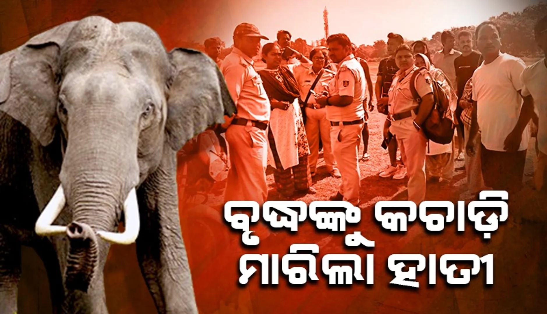 ଂହ‌ୋ