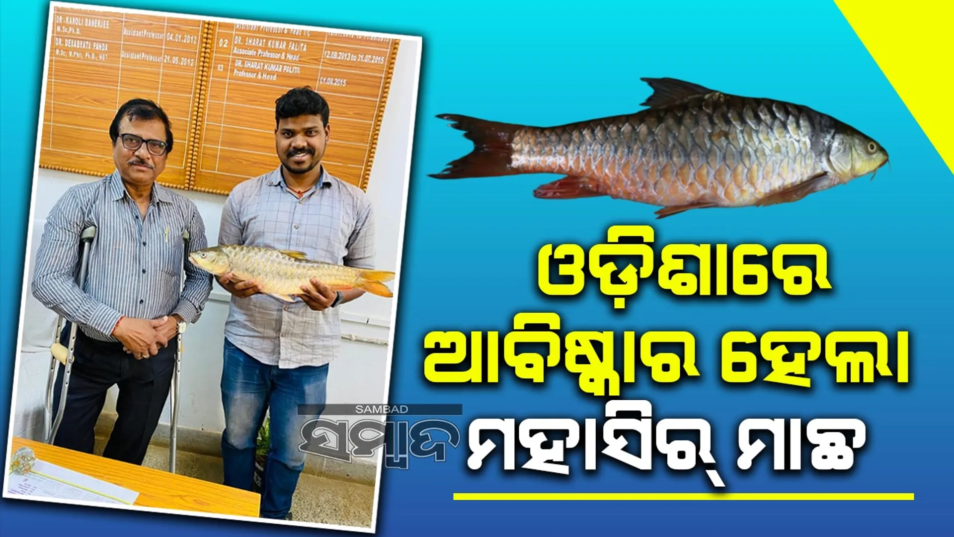 Mahseer