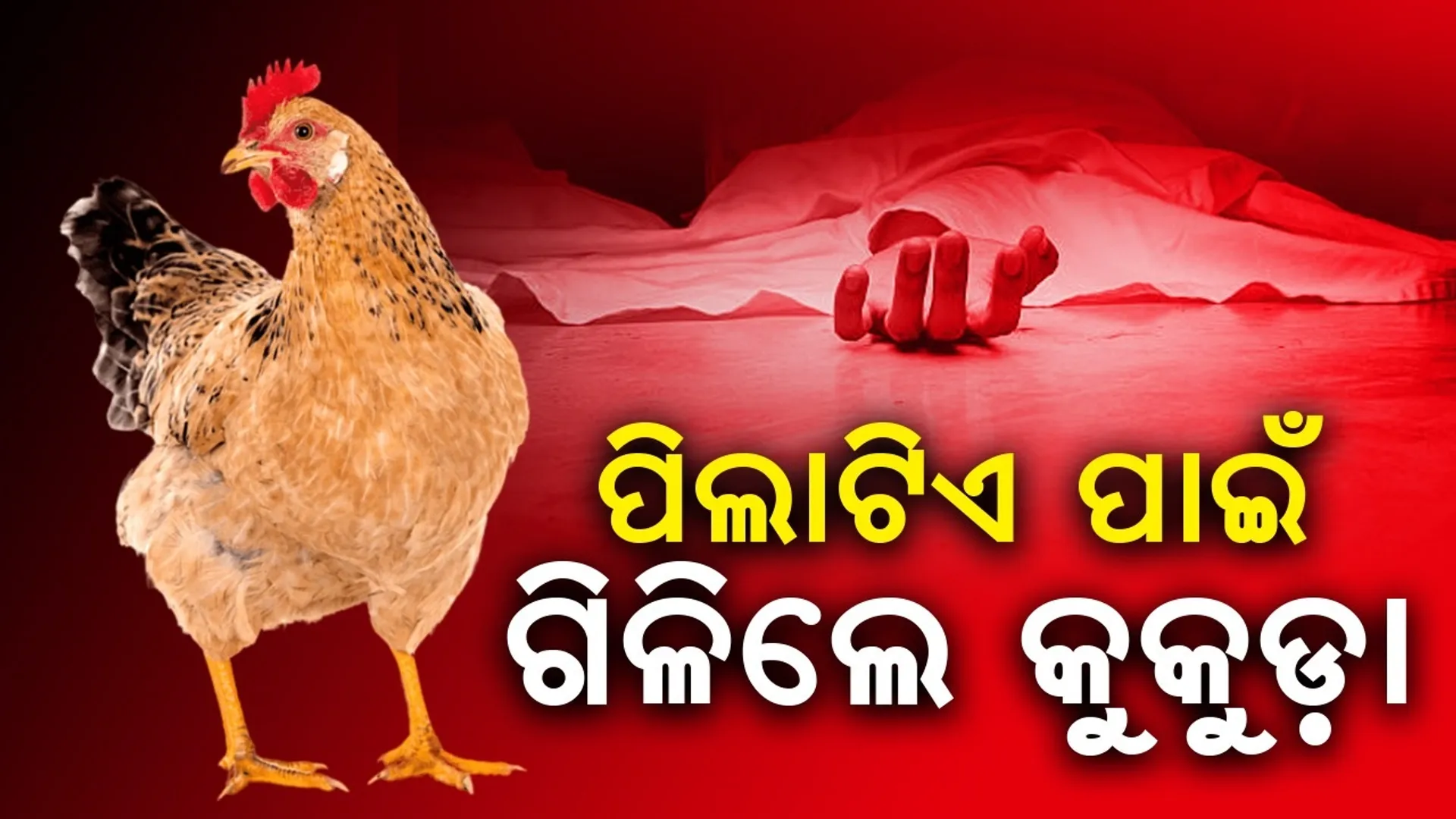 hen