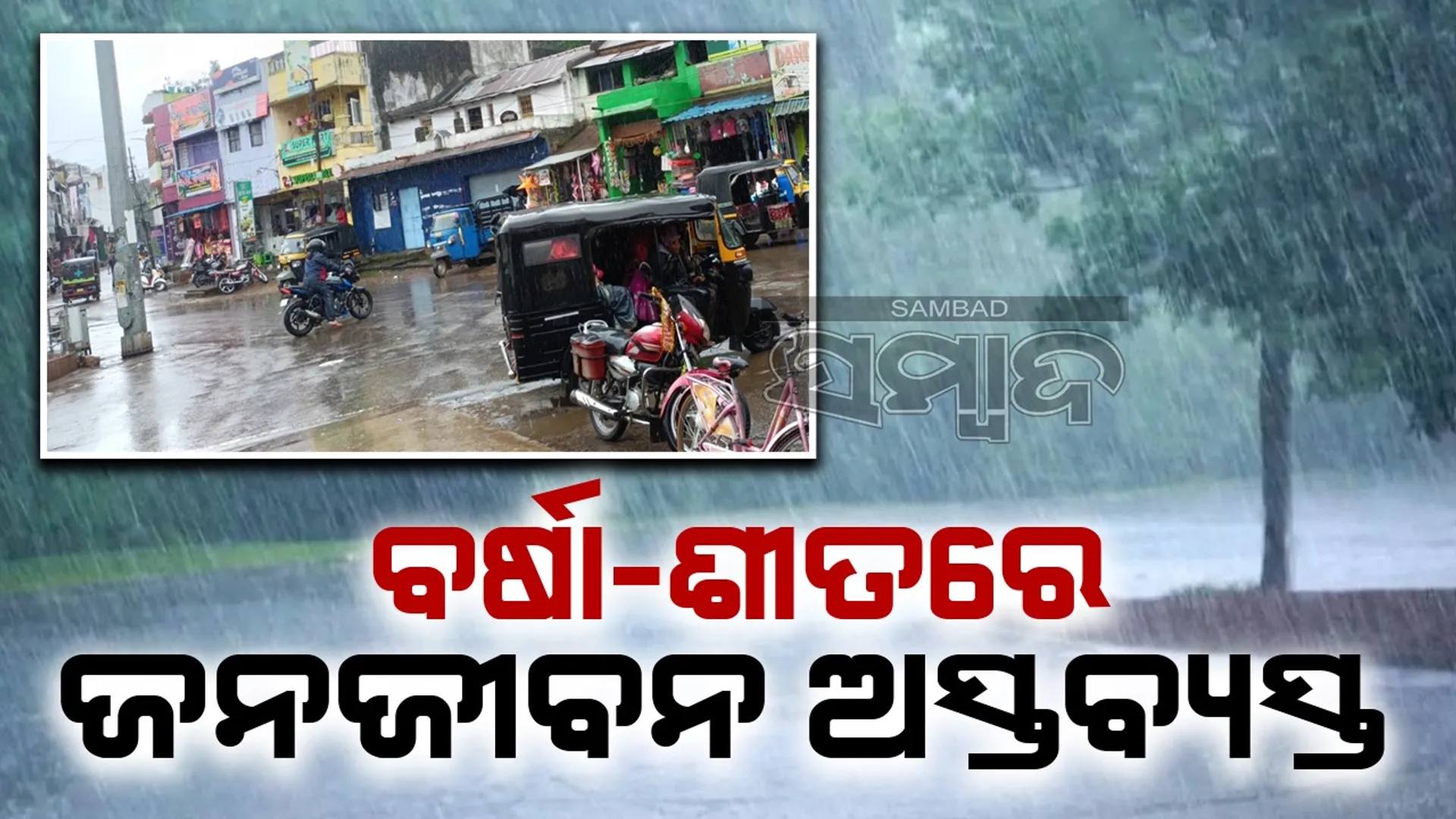 କଲବଲ କରୁଛି ବର୍ଷା-ଶୀତ: ଜନଜୀବନ ଅସ୍ତବ୍ୟସ୍ତ