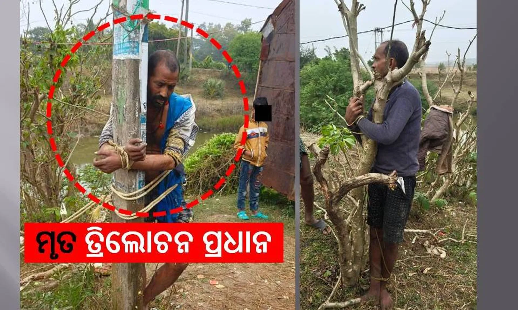 Young man bitten to death in Basta of Balesore.