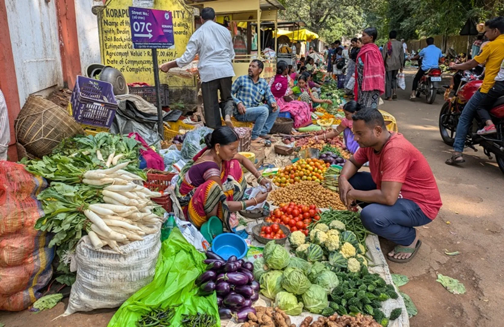 ଅଦିନିଆ ବର୍ଷାକୁ ନେଇ ଚିନ୍ତାରେ ଚାଷୀ: ଶାଗମାଛ ଦରରେ ବିକ୍ରି ହେଉଛି ପନିପରିବା