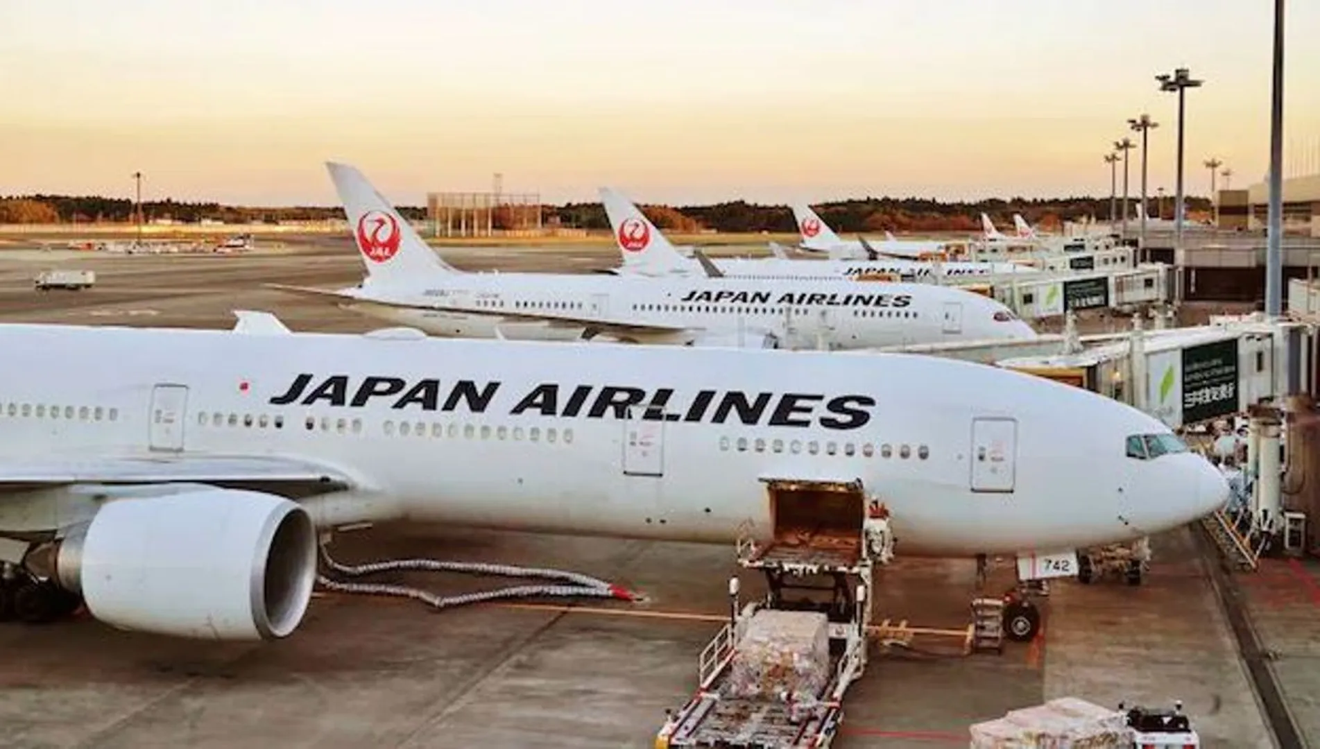 japan-airlines-hit-by-cyberattack
