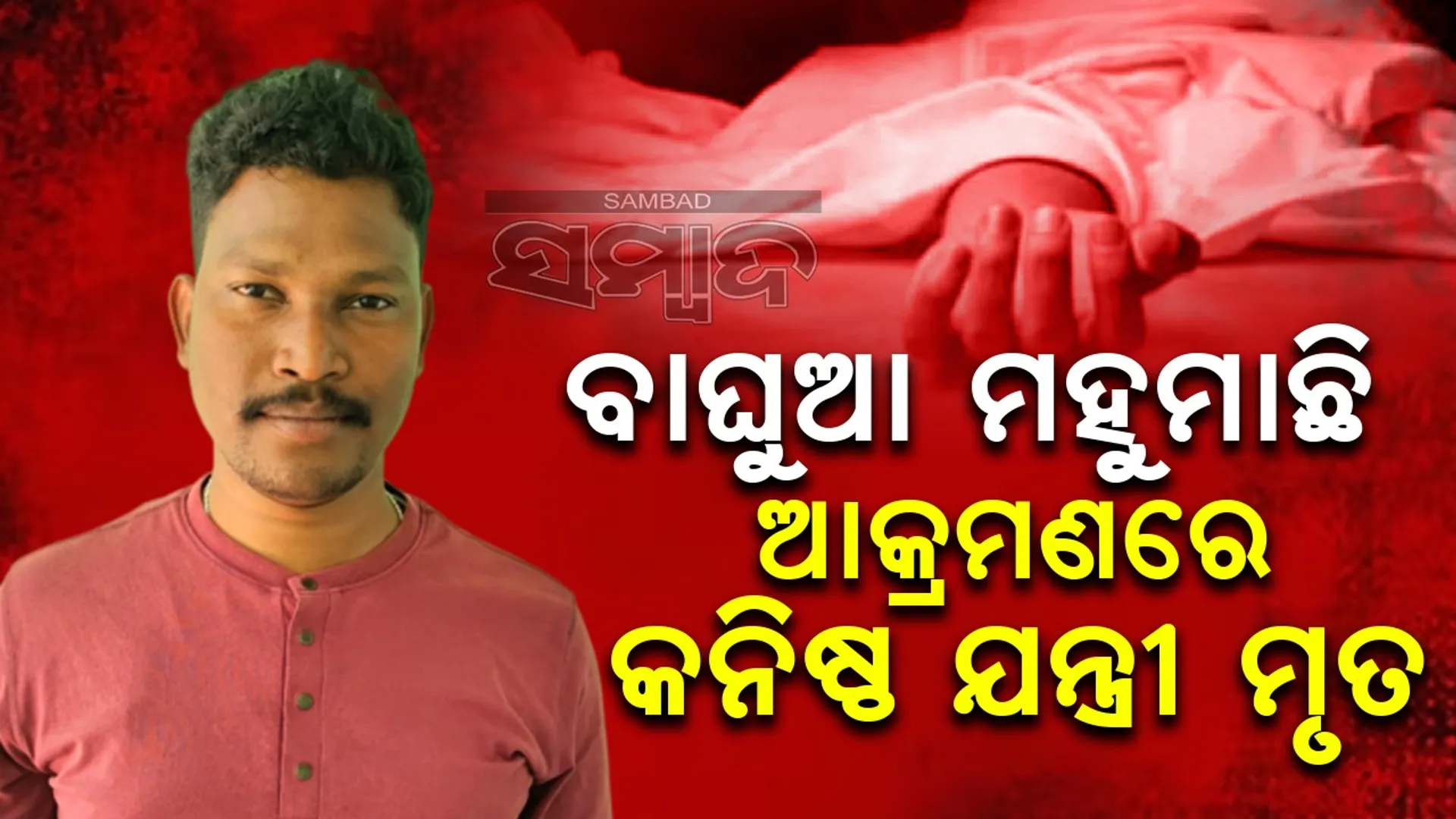 ୗଯୀ