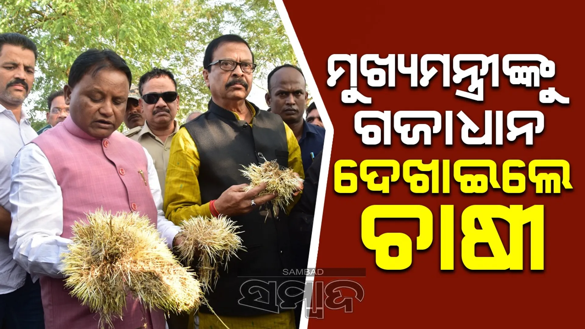 ଗଜପତିରେ କ୍ଷତିଗ୍ରସ୍ତ ଚାଷୀଙ୍କୁ ଭେଟି ଆଲୋଚନା କଲେ ମୁଖ୍ୟମନ୍ତ୍ରୀ