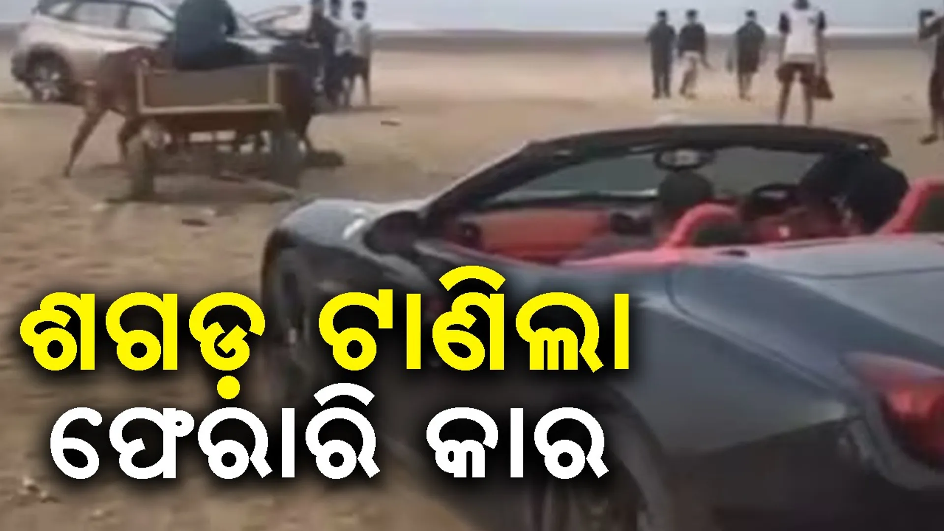 bullock-cart-pulling-ferrari