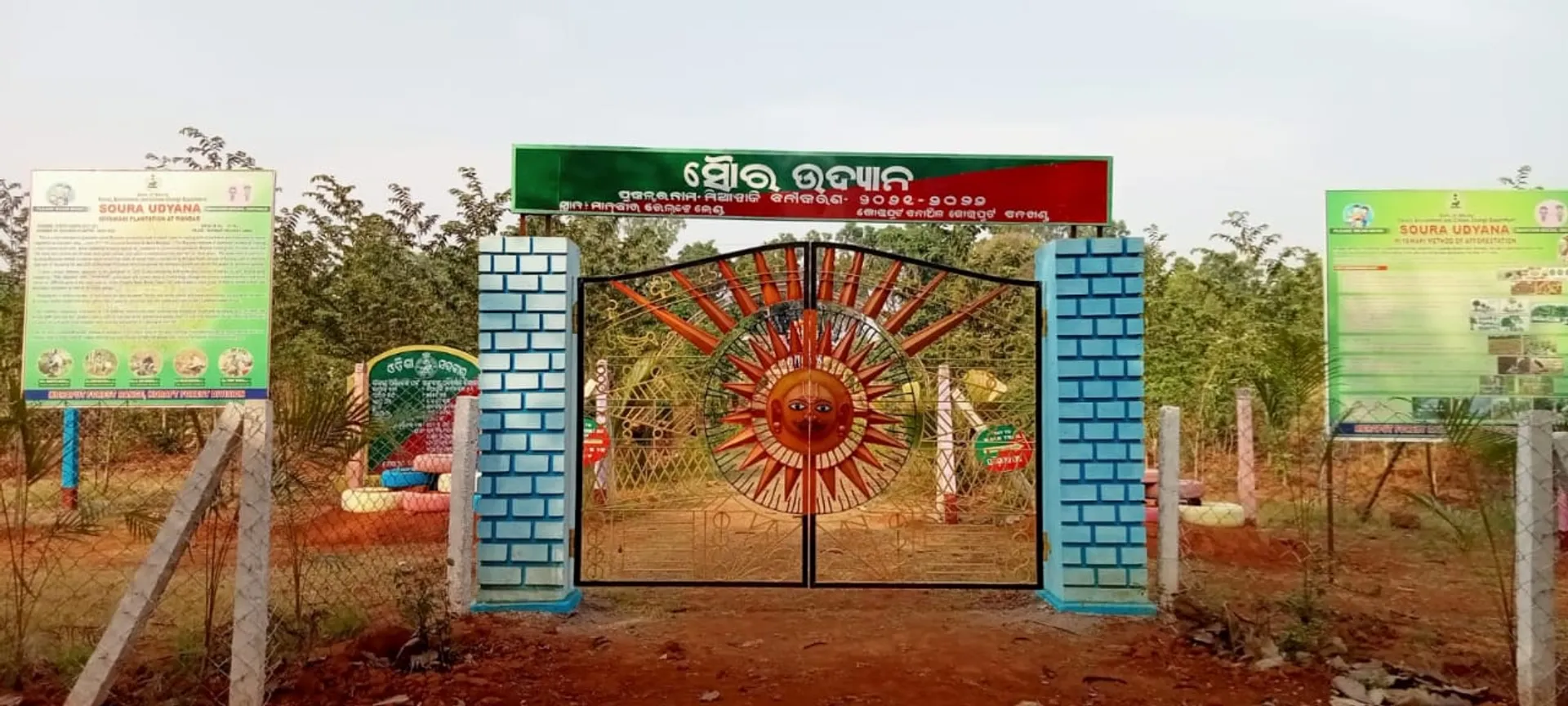କୋରାପୁଟରେ ଜାପାନ ପଦ୍ଧତିରେ ମିୱାୱାକିରେ ନୂଆ ଜଙ୍ଗଲ ସୃଷ୍ଟି
