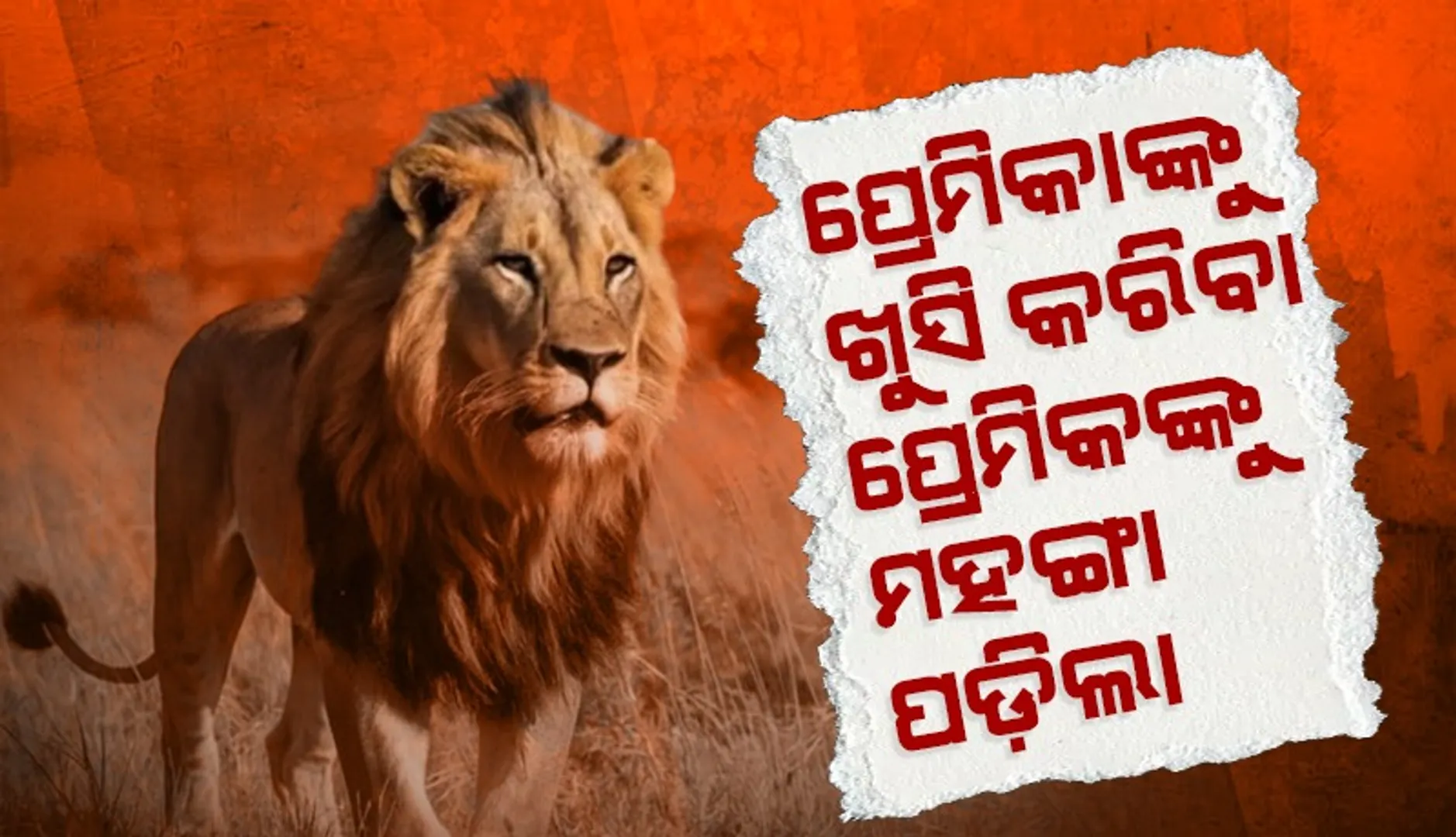 ହୗ୮୯ୖ