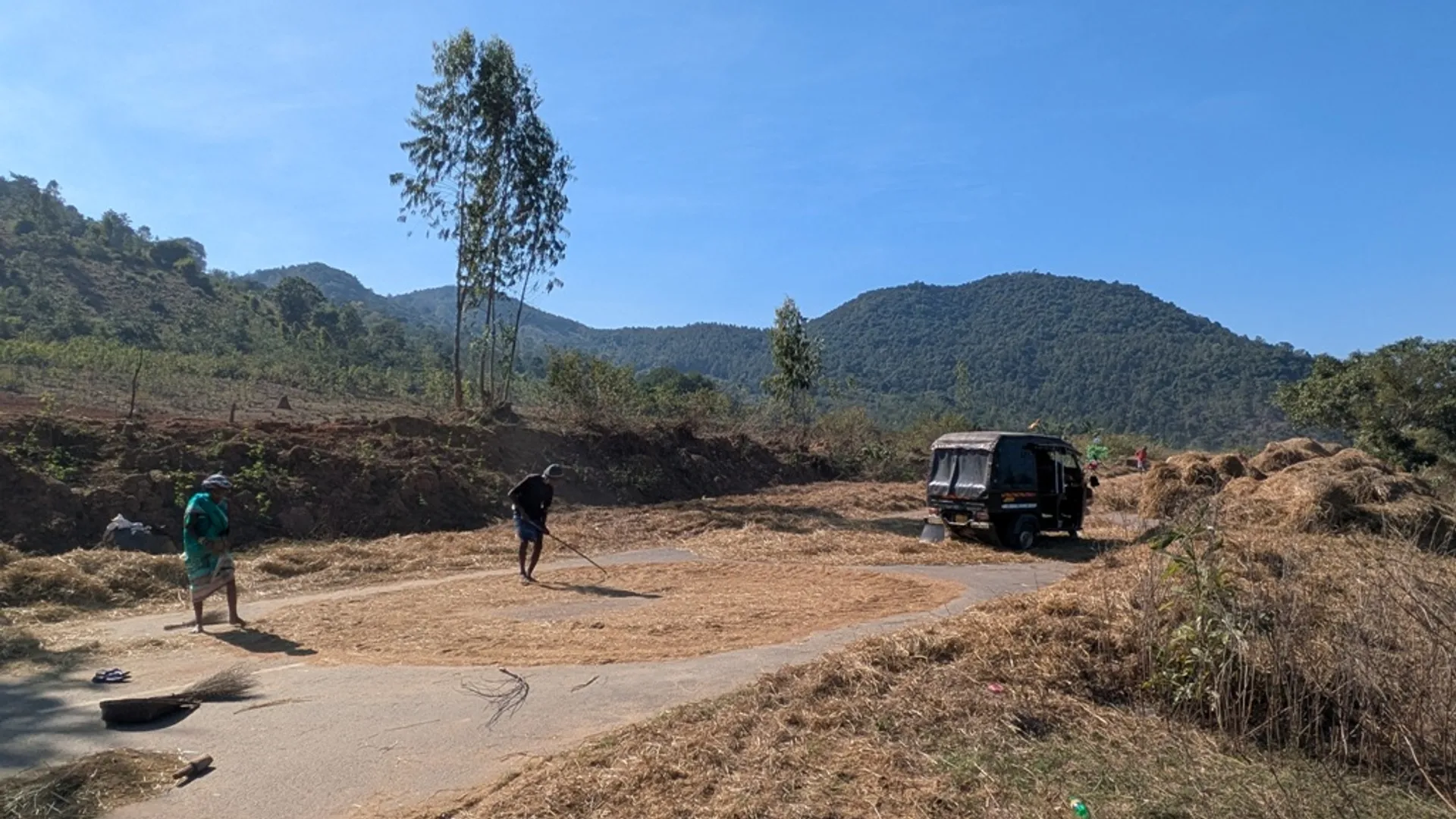 mandia in Koraput