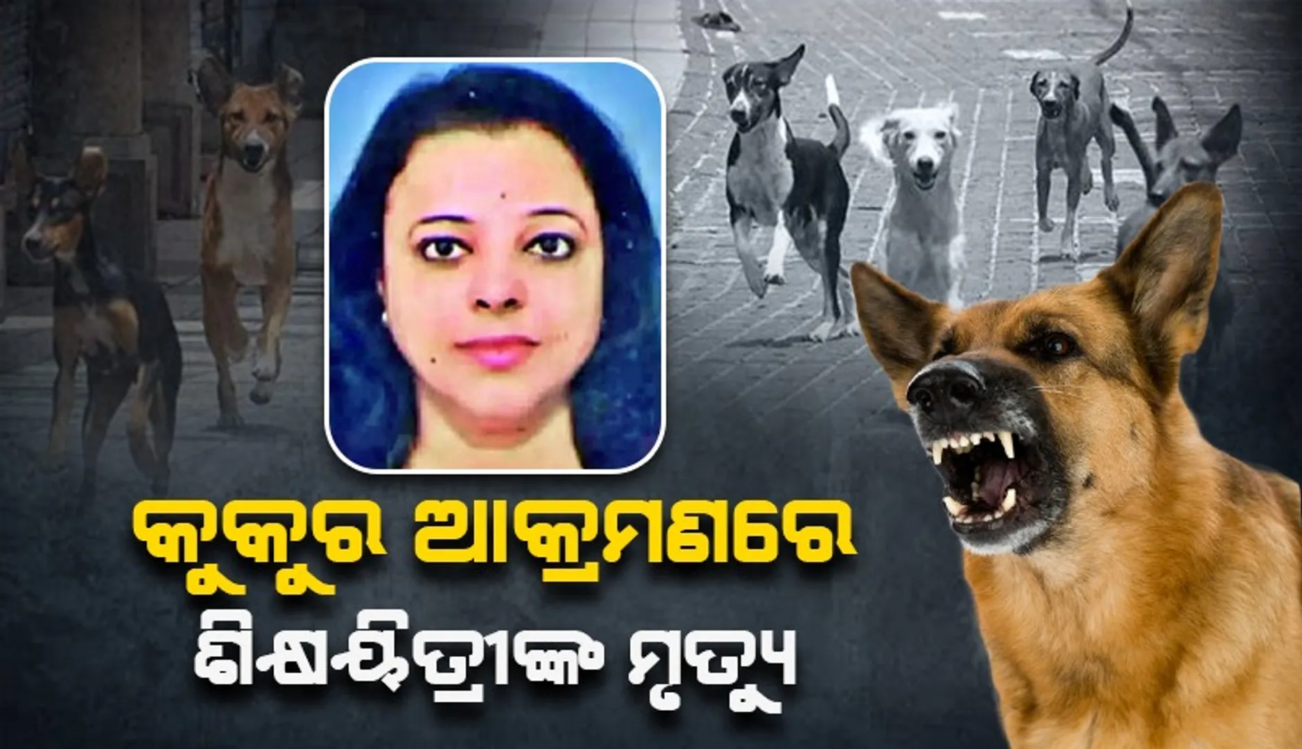ଂଯହଯଂ