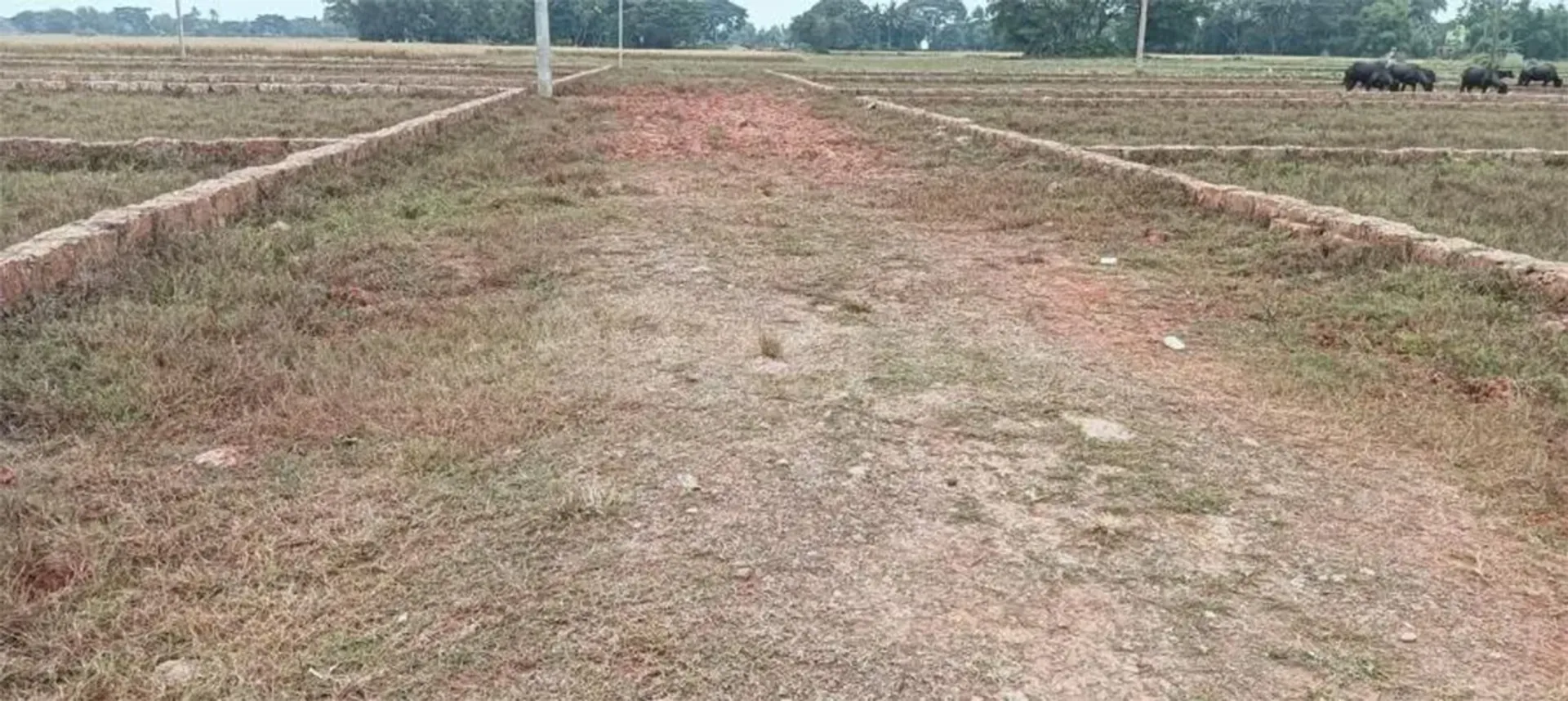 plot sale