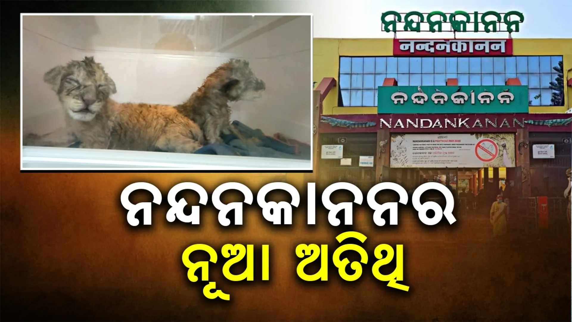 Nandankanan zoo