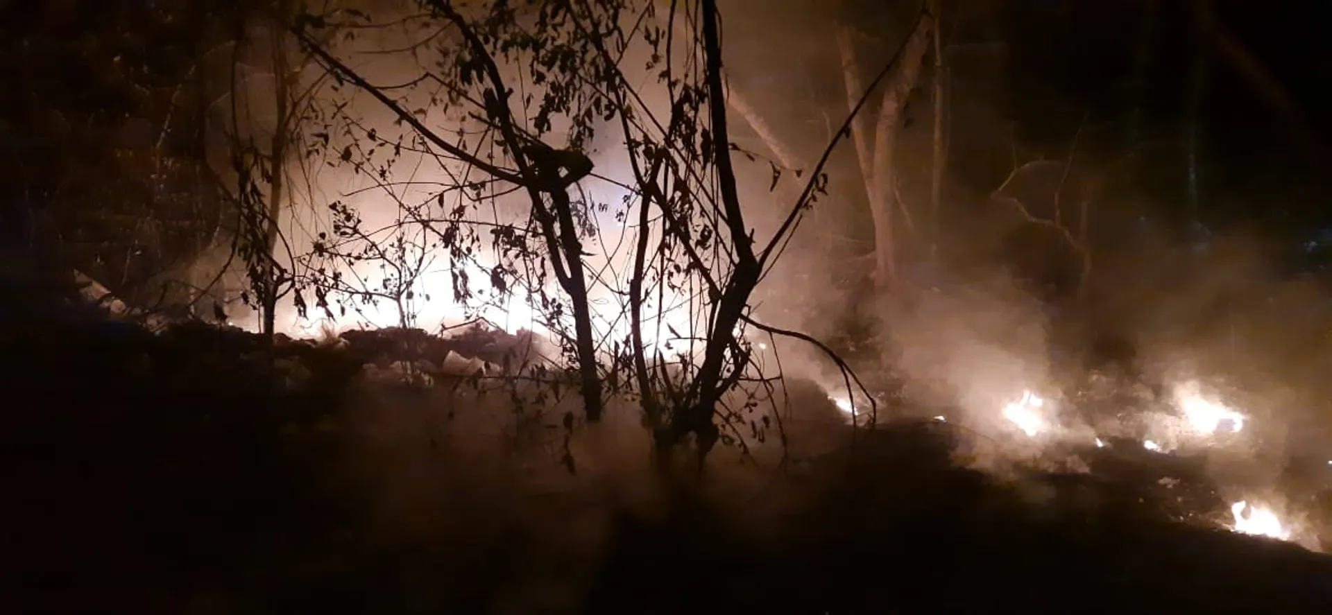 Forest got fire in Brahmagiri
