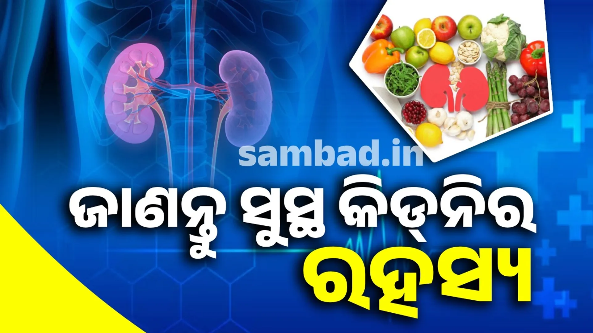  healthy  kidney