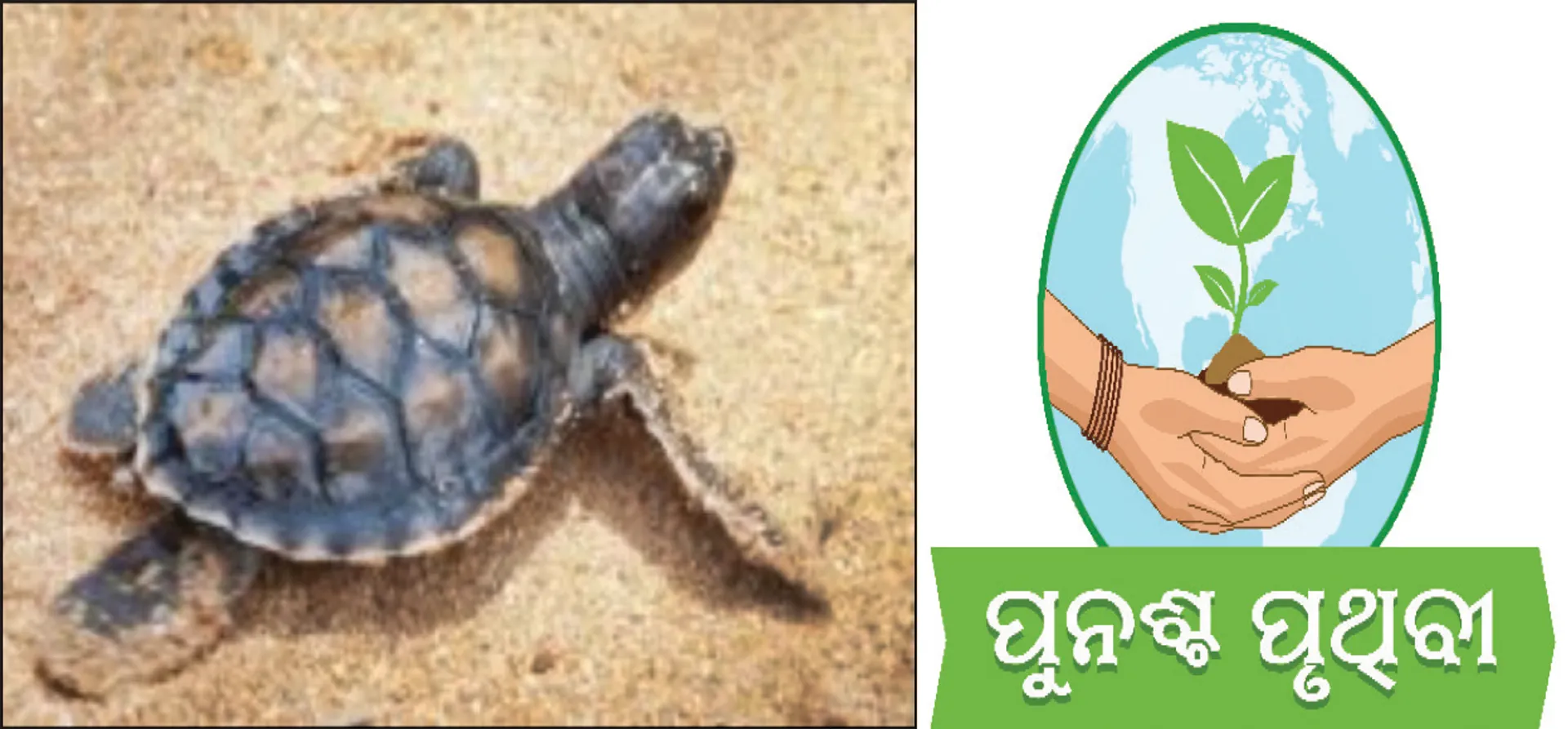 gdgdgcv