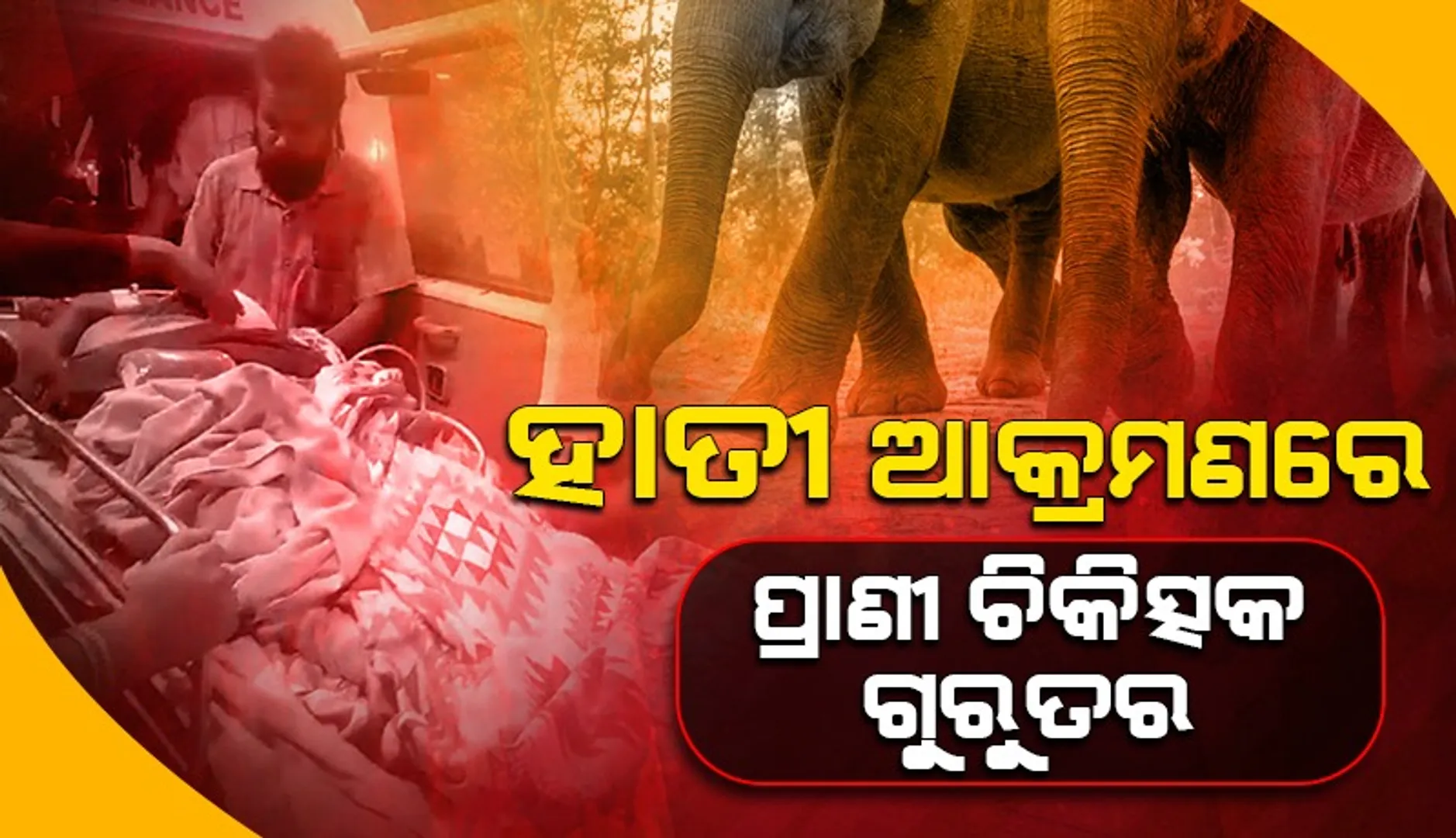 ତିୗଯ
