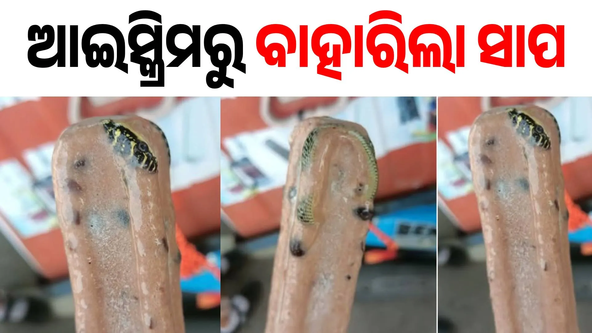 ice snake