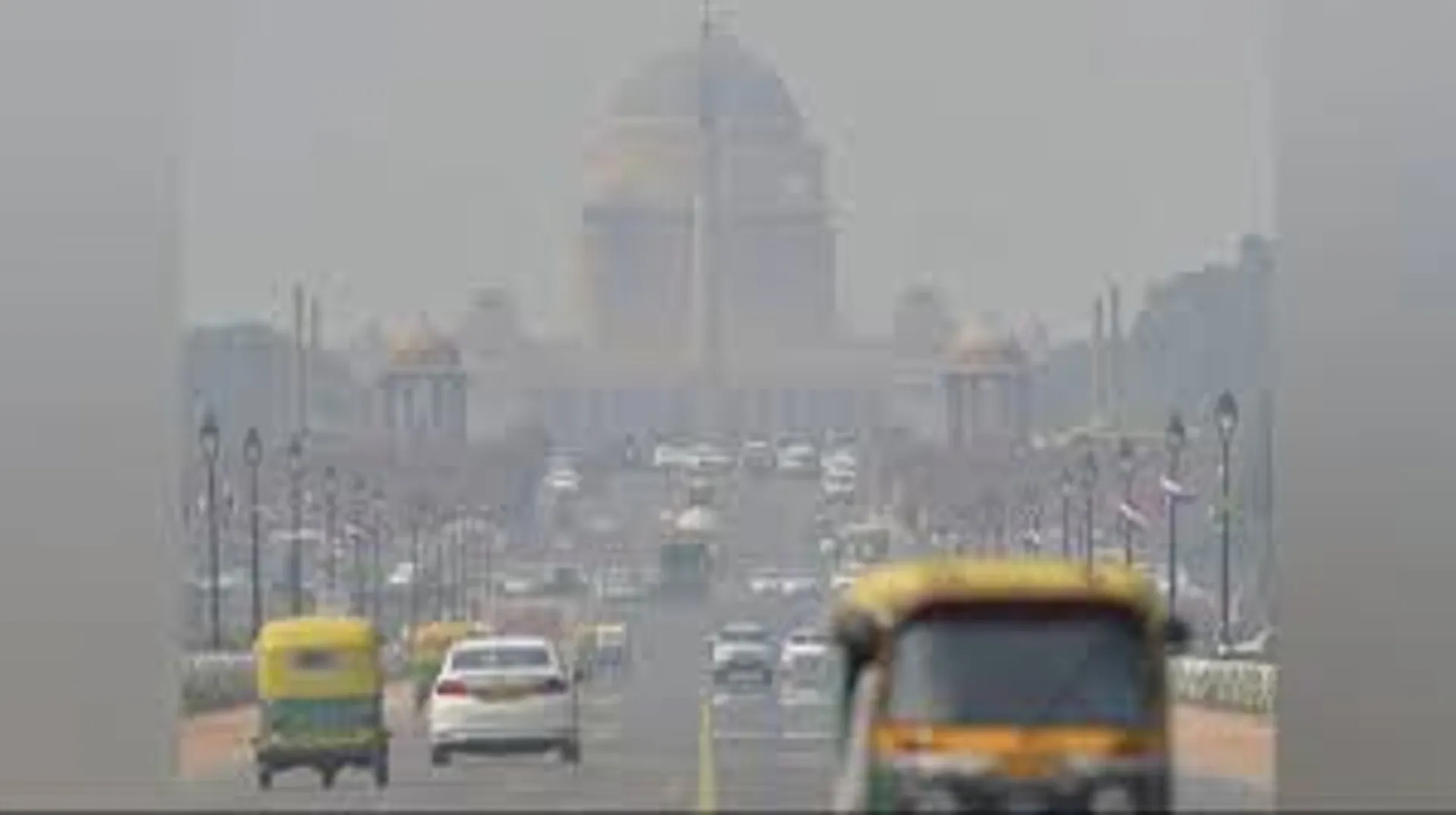 delhi