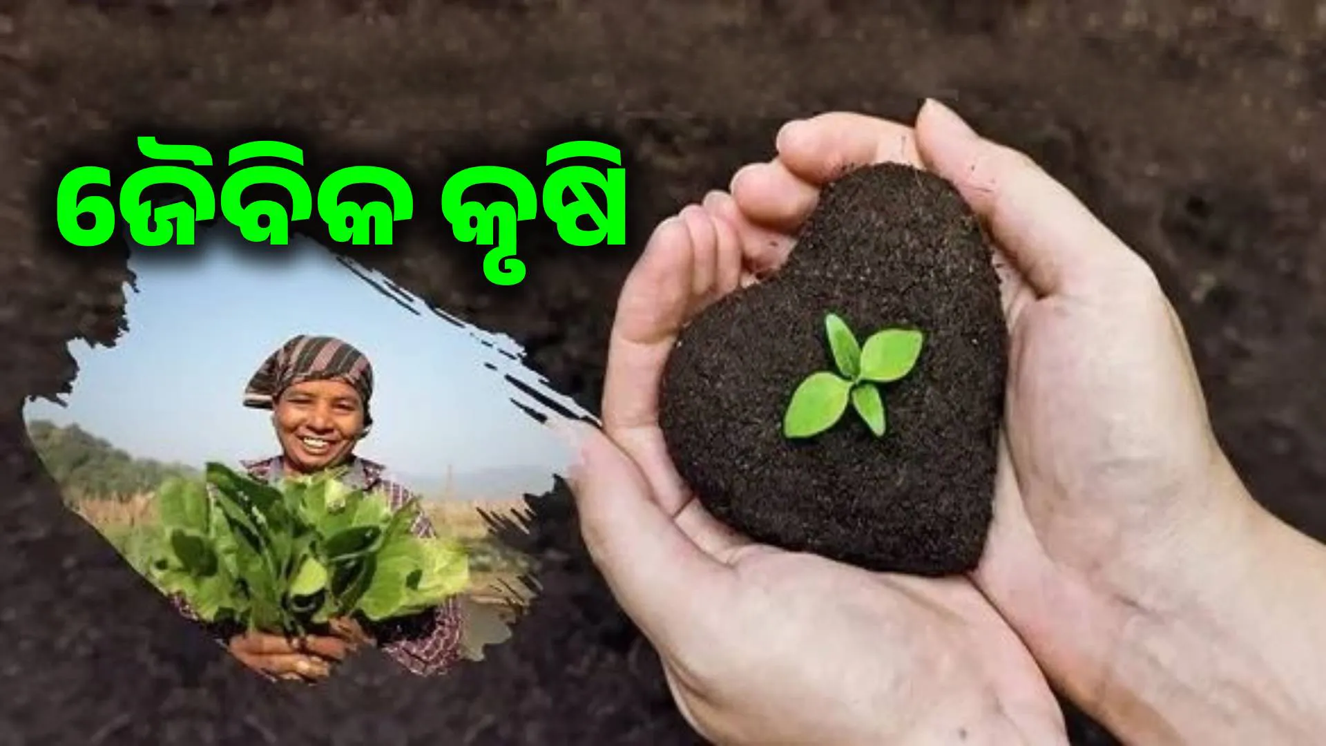 କୃଷି କ୍ଷେତ୍ରରେ ବ୍ୟାପକ କୀଟନାଶକ ବ୍ୟବହାର ଯୋଗୁ ବୃଦ୍ଧି ପାଉଛି କର୍କଟ ରୋଗ!: ଜୈବିକ କୃଷି ଉପରେ ରାଜ୍ୟ ସରକାରଙ୍କ ଗୁରୁତ୍ୱ 