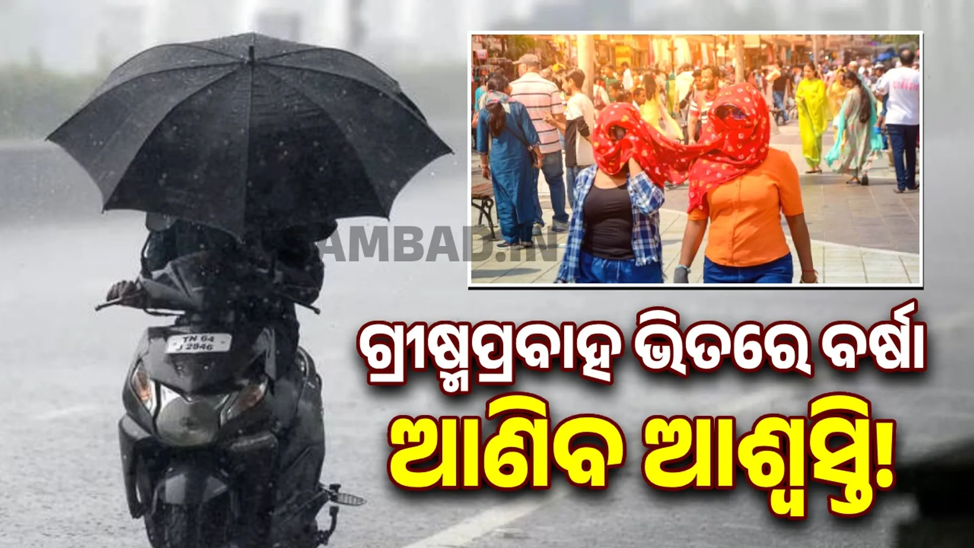 Rain in Odisha 