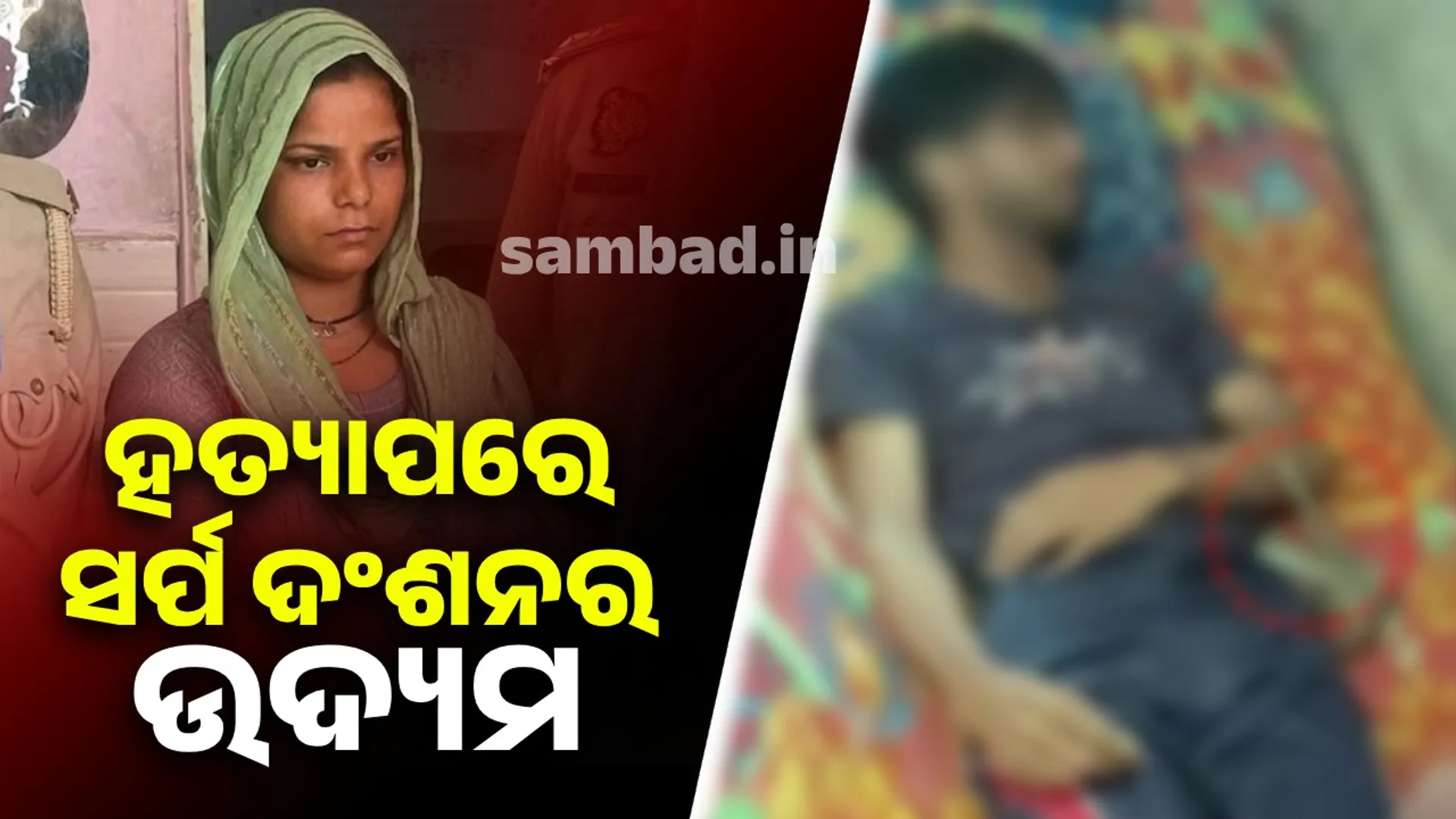 ସଦପନଦ