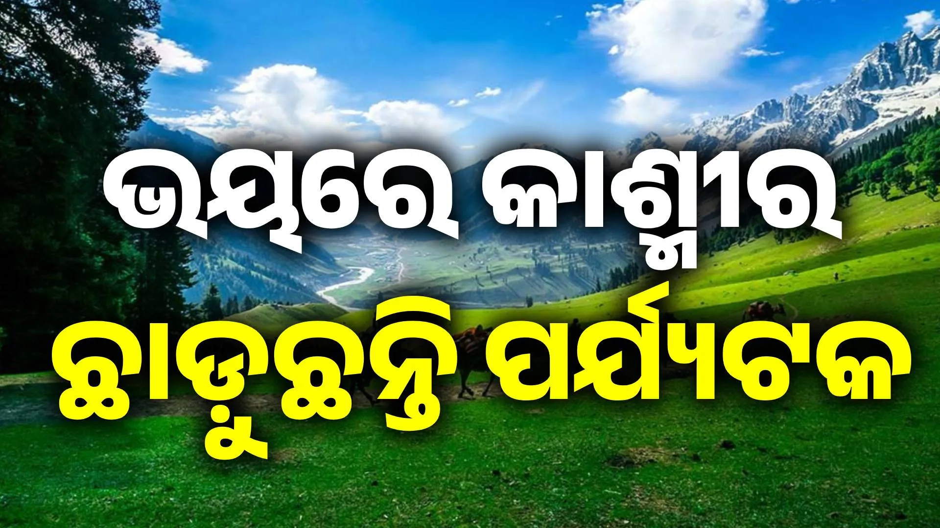 ପର୍ଯ୍ୟଟକ