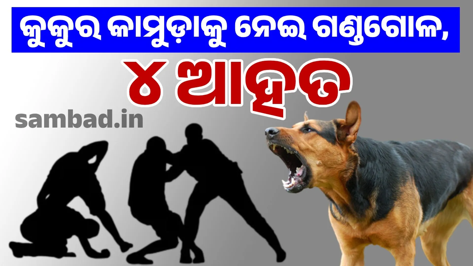 କୁକୁର କାମୁଡ଼ାକୁ ନେଇ ଗଣ୍ଡଗୋଳ: ଦୁଇ ପରିବାରର ୪ ଆହତ ହସ୍‌ପିଟାଲରେ ଭର୍ତ୍ତି