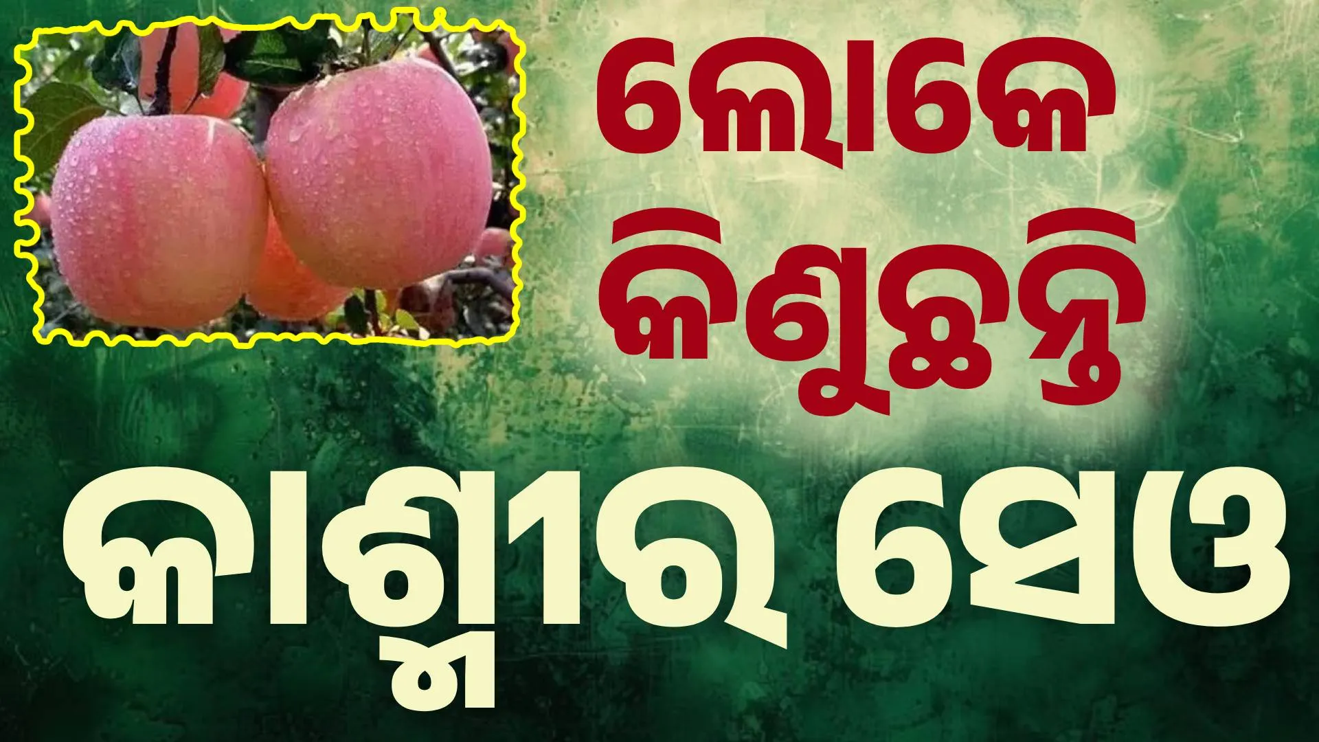 kashmirୂପ