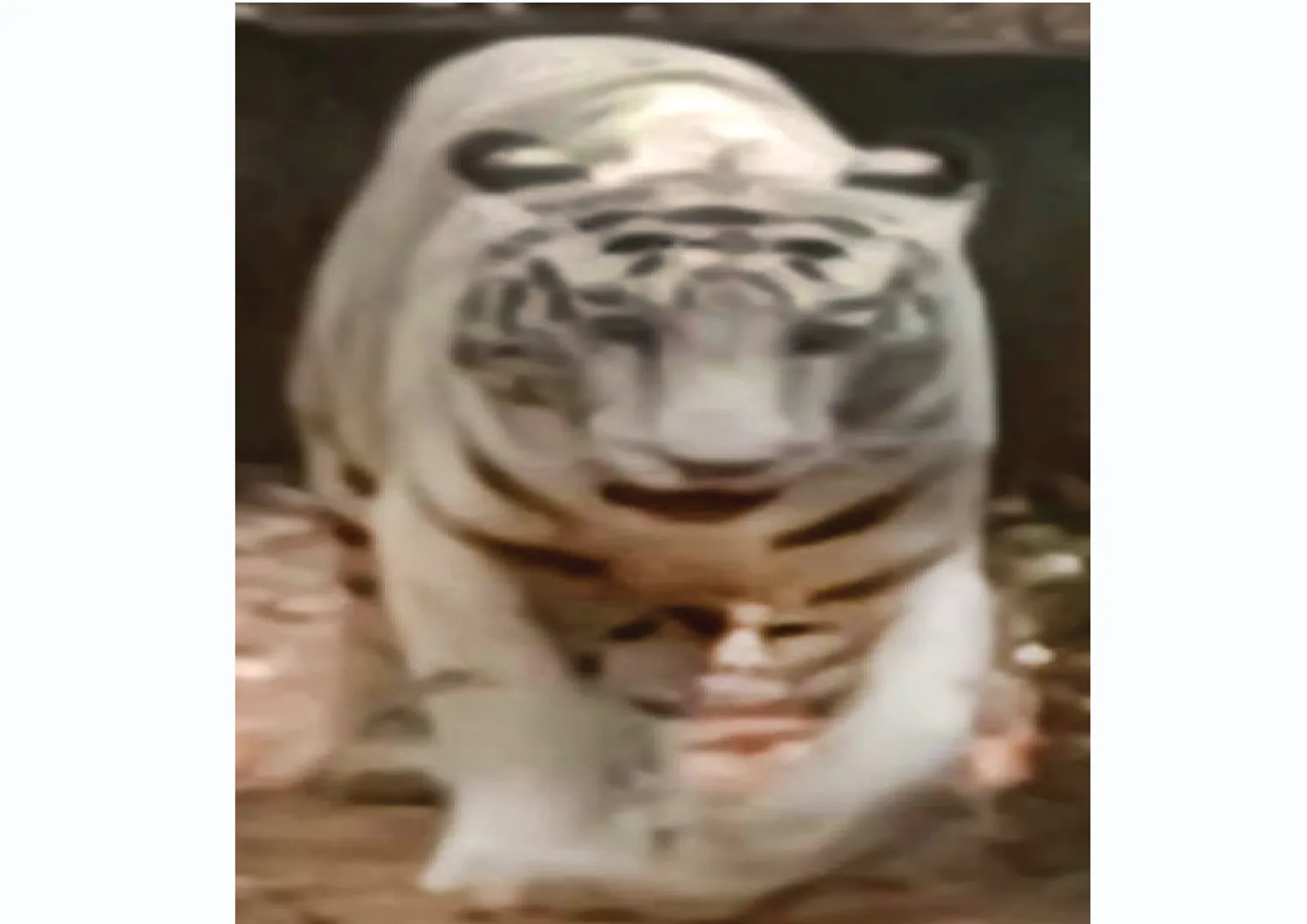 fhsfhfs
