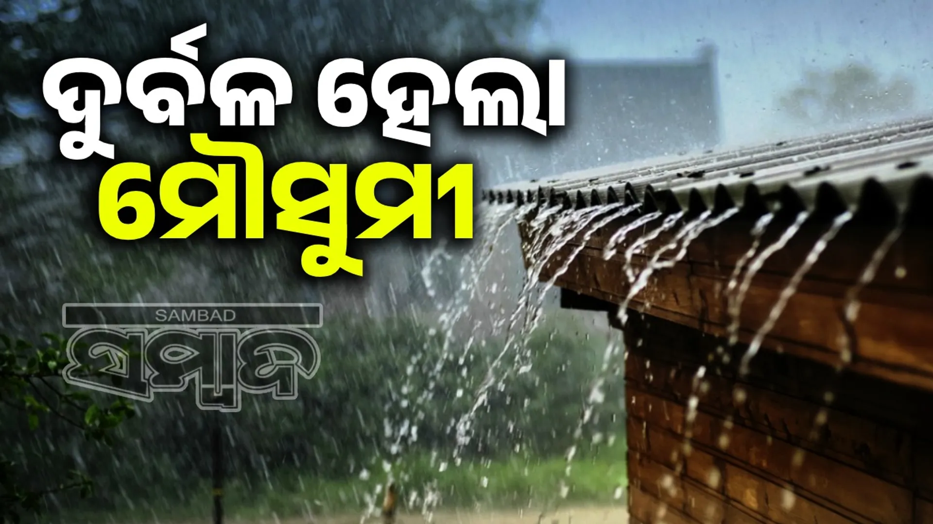 Rain in Odisha
