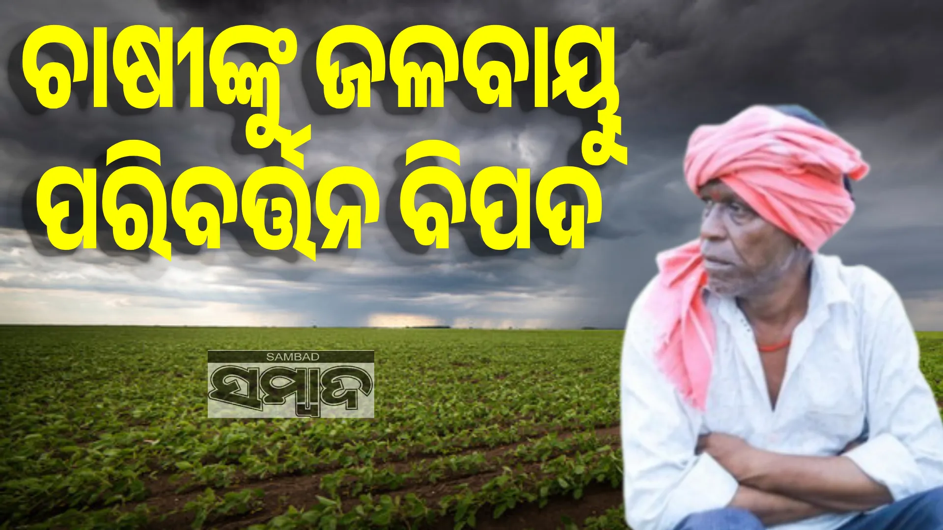 farmers