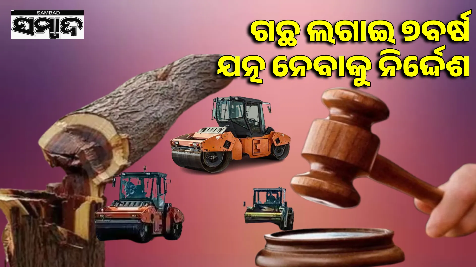 Cutting of trees for development is acceptable: High Court